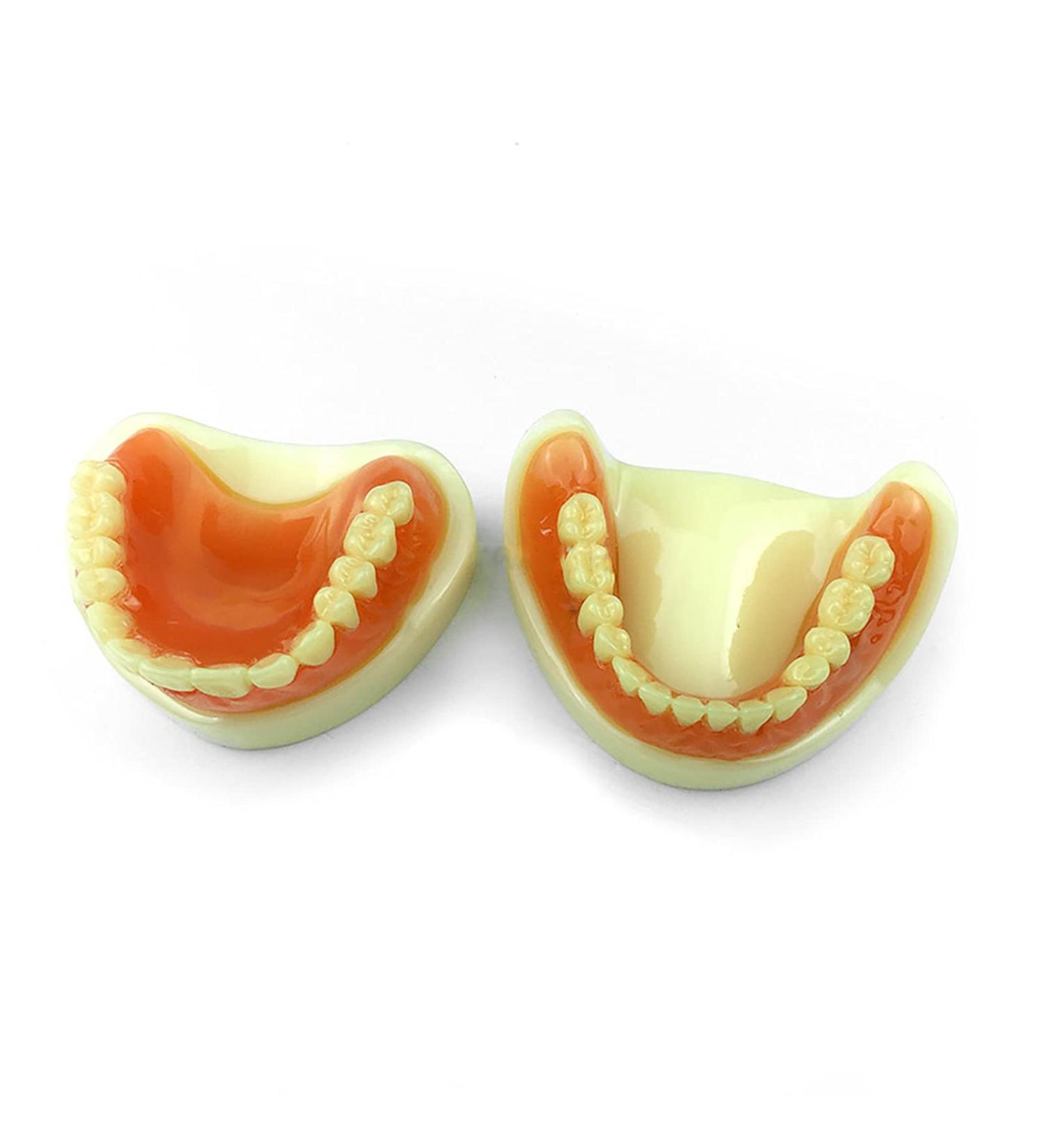 Qqbaihuo Removable Simulation Toothbrush Model - Teaching Prosthesis for Men & Women - 6 Pairs for Caries & Missing Teeth - Buy Online on GoSupps.com