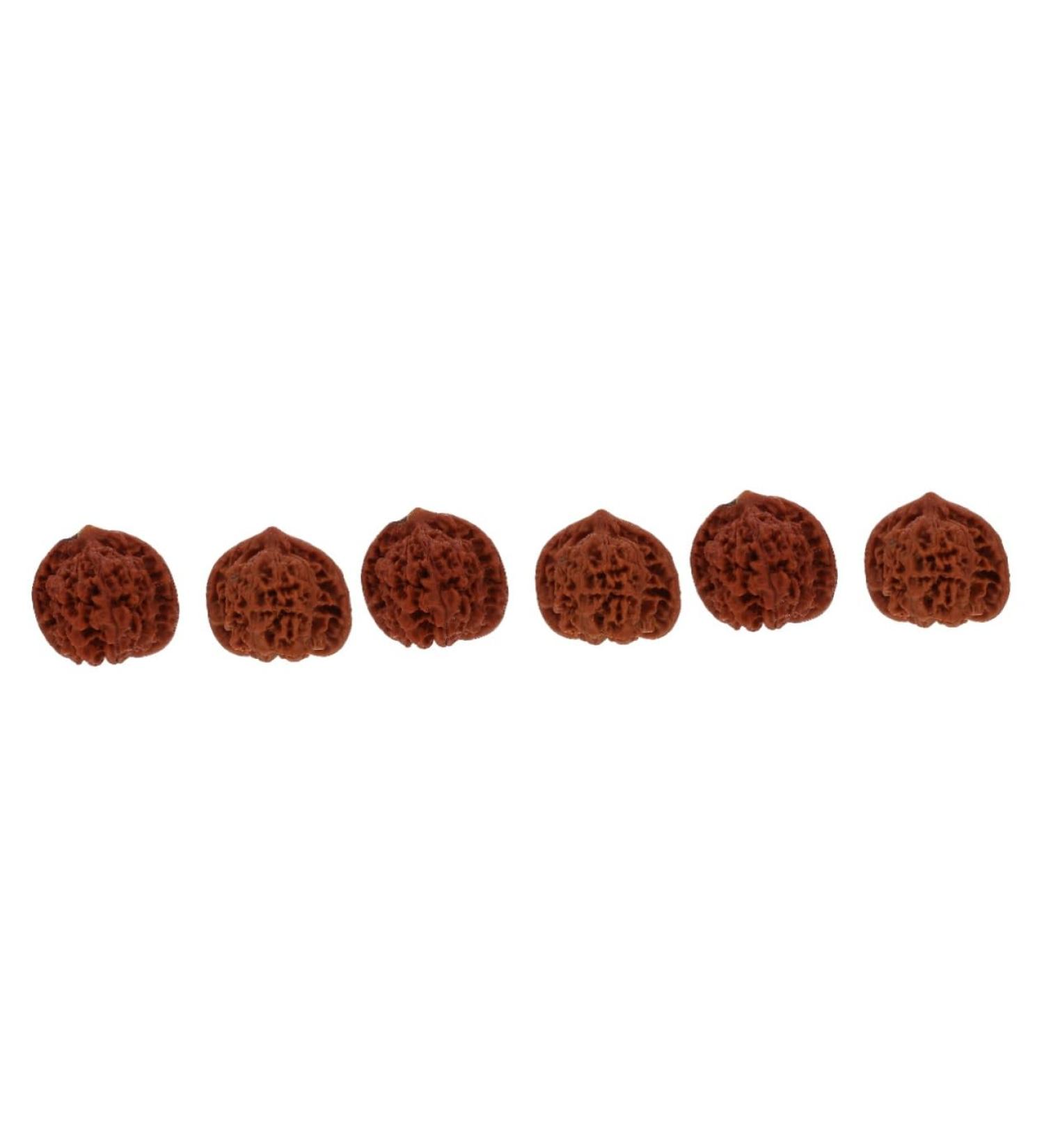 TOVINANNA 6 StK Walnuss-Fitness Handballs | Chinese Baoding Balls for Stress Relief & Health Training | International Shipping - Buy Online on GoSupps.com