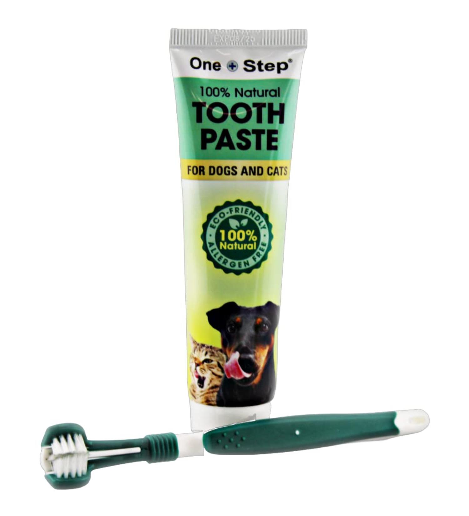Natural Toothpaste & Toothbrush for Pets | Allergen-Free Dental Care | 100g Tube, Peppermint Flavor - Buy Online on GoSupps.com