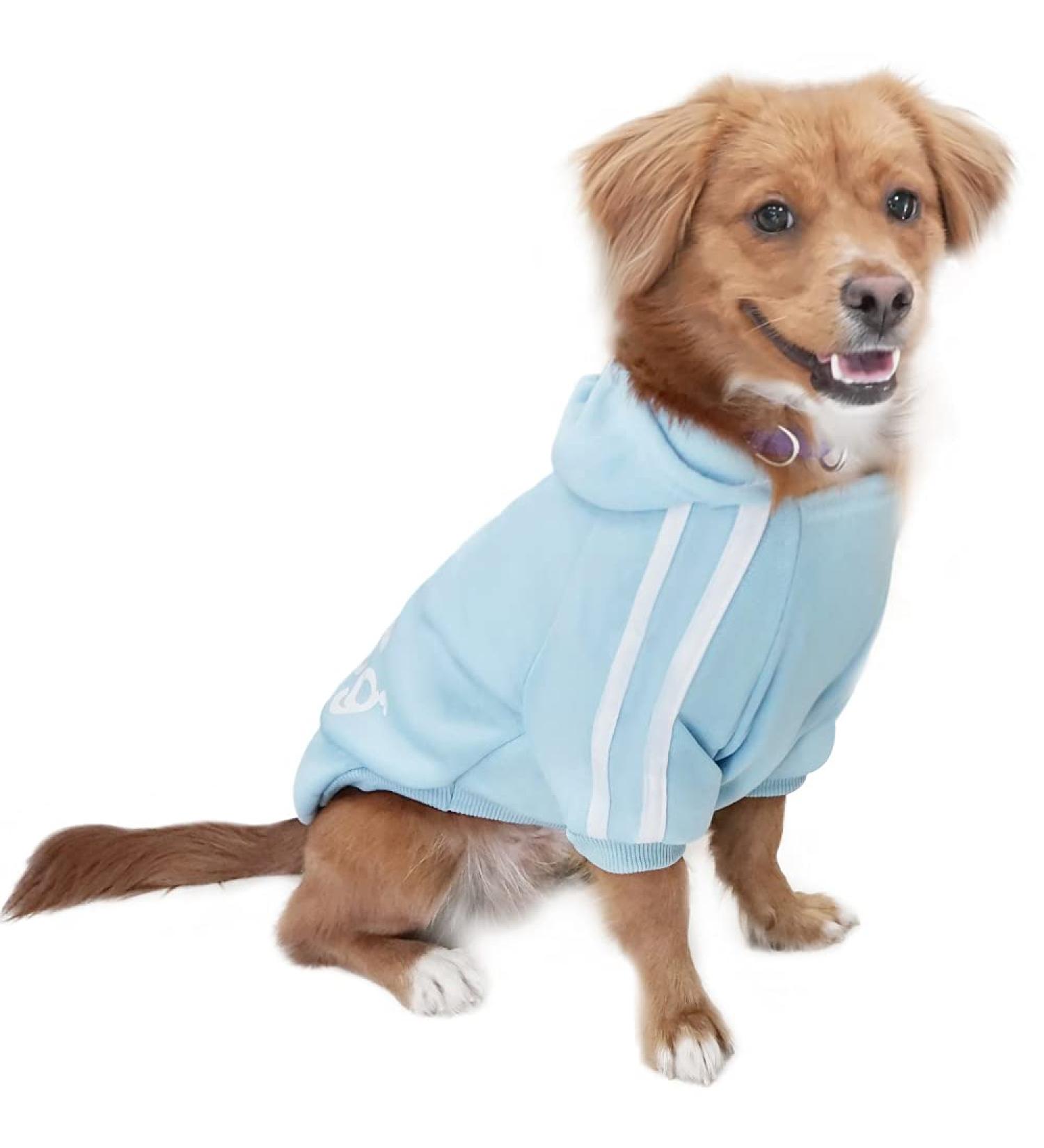 Eastlion Dog Sweater | Warm Puppy T-Shirt & Pullover Coat | Light Blue Pet Apparel - Size LL - Buy Online on GoSupps.com