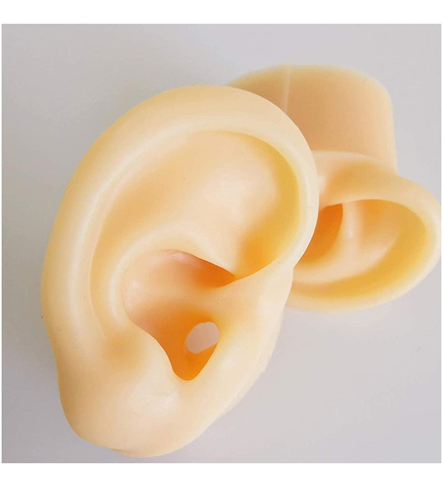 Medical Teaching Template Template Silicone Ear Template for Acupuncture - Size of Life Human Ear Model Lifeelike Artificial Ear Model - Buy Online on GoSupps.com