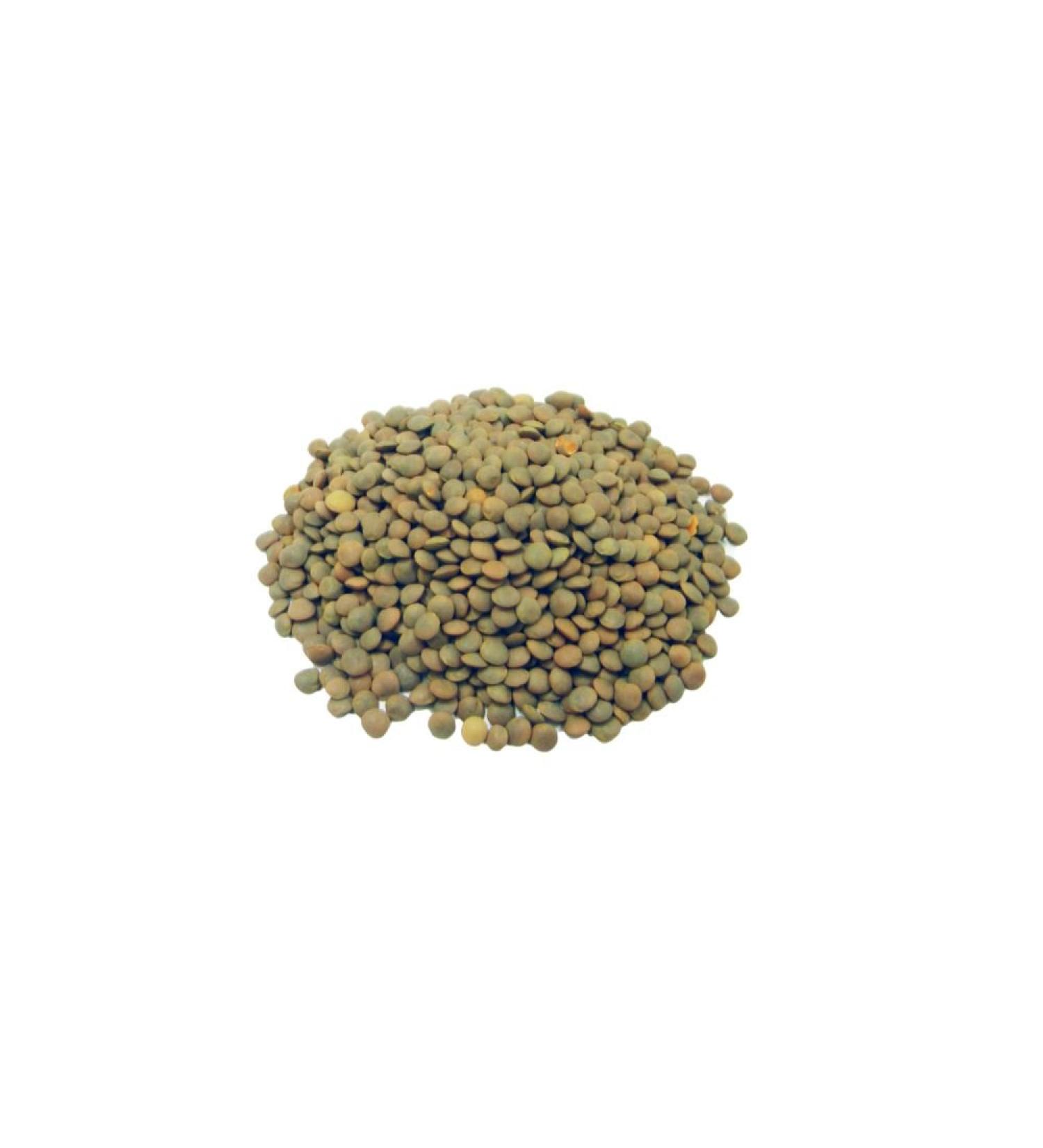 Brown Lentils (Brown Masoor) - 1.5kg