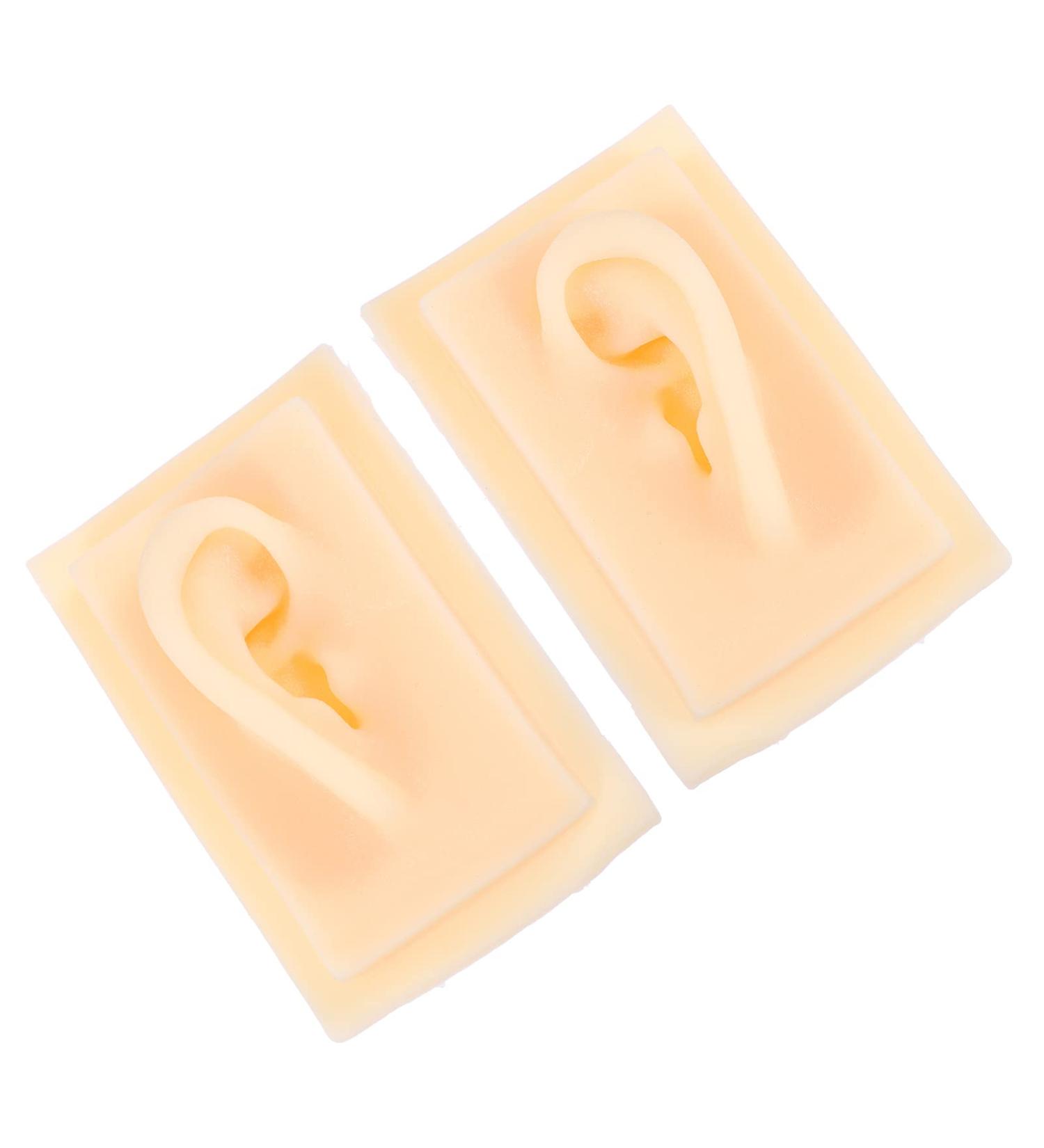 Baluue Ear Model Display - Acupoint Learning Tool & Ear Cleaning Practice Props - Ideal for Hearing Aid & Earplug Simulation - Buy Online on GoSupps.com