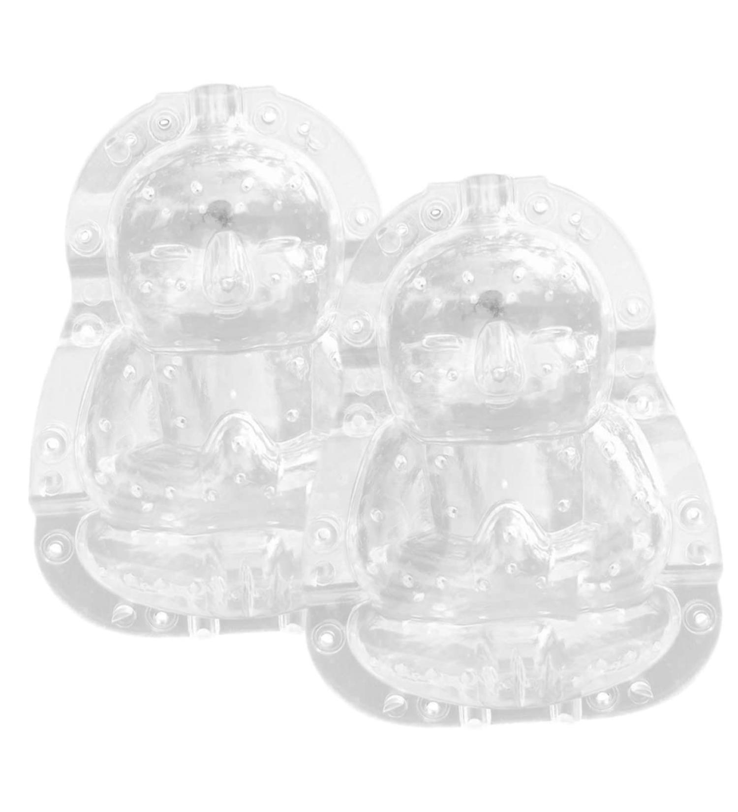 CIYODO Plastic Fruit 2pcs Vegetable Shaping Mold Clear Fruit Strawberry Growing Molds Small Shaping Mold Pc Material - Buy Online on GoSupps.com