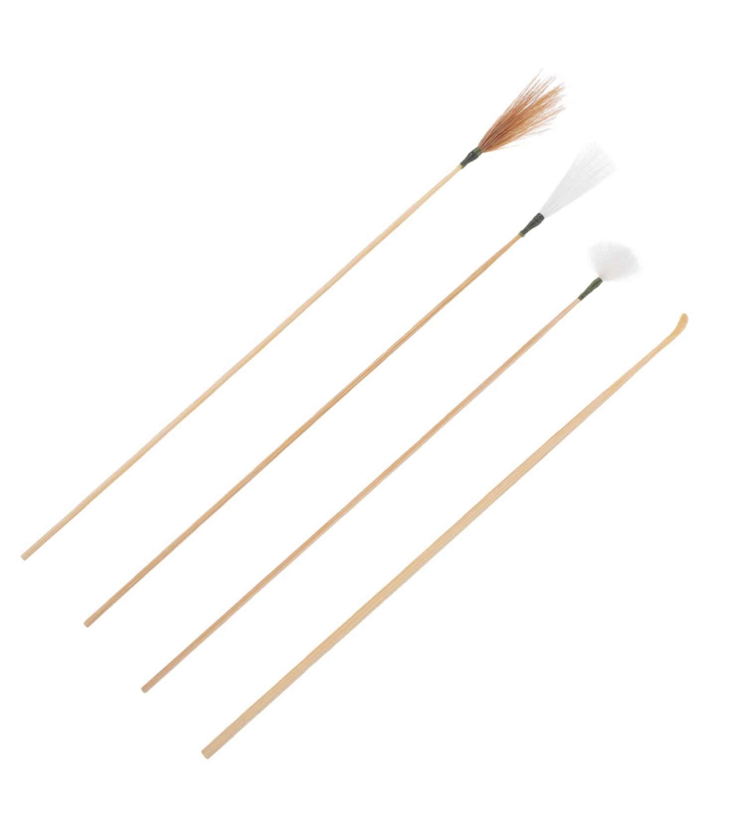 NOLITOY 1set Portable Ear Cleaning Tools Ear Wax Removal Kit Spiral Picks Convenient Picks for Home Use Lightweight and Easy to Store - Buy Online on GoSupps.com