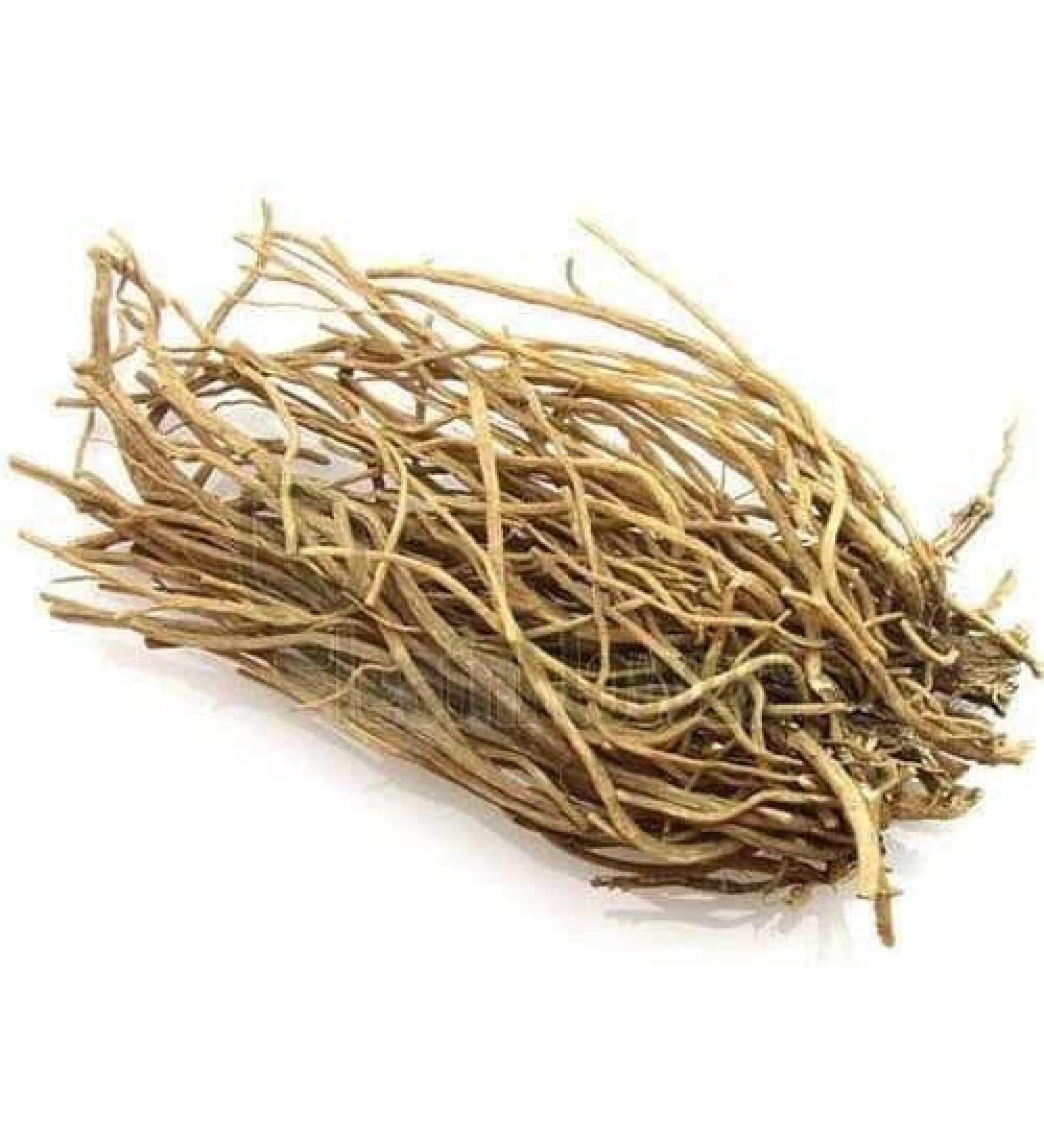 ORGANIZE Tridev ayurveda Apamarg Stekelig Kaf Wortel Chirchita Achyranthes Aspera 50 gm Merk panihari - Buy Online on GoSupps.com