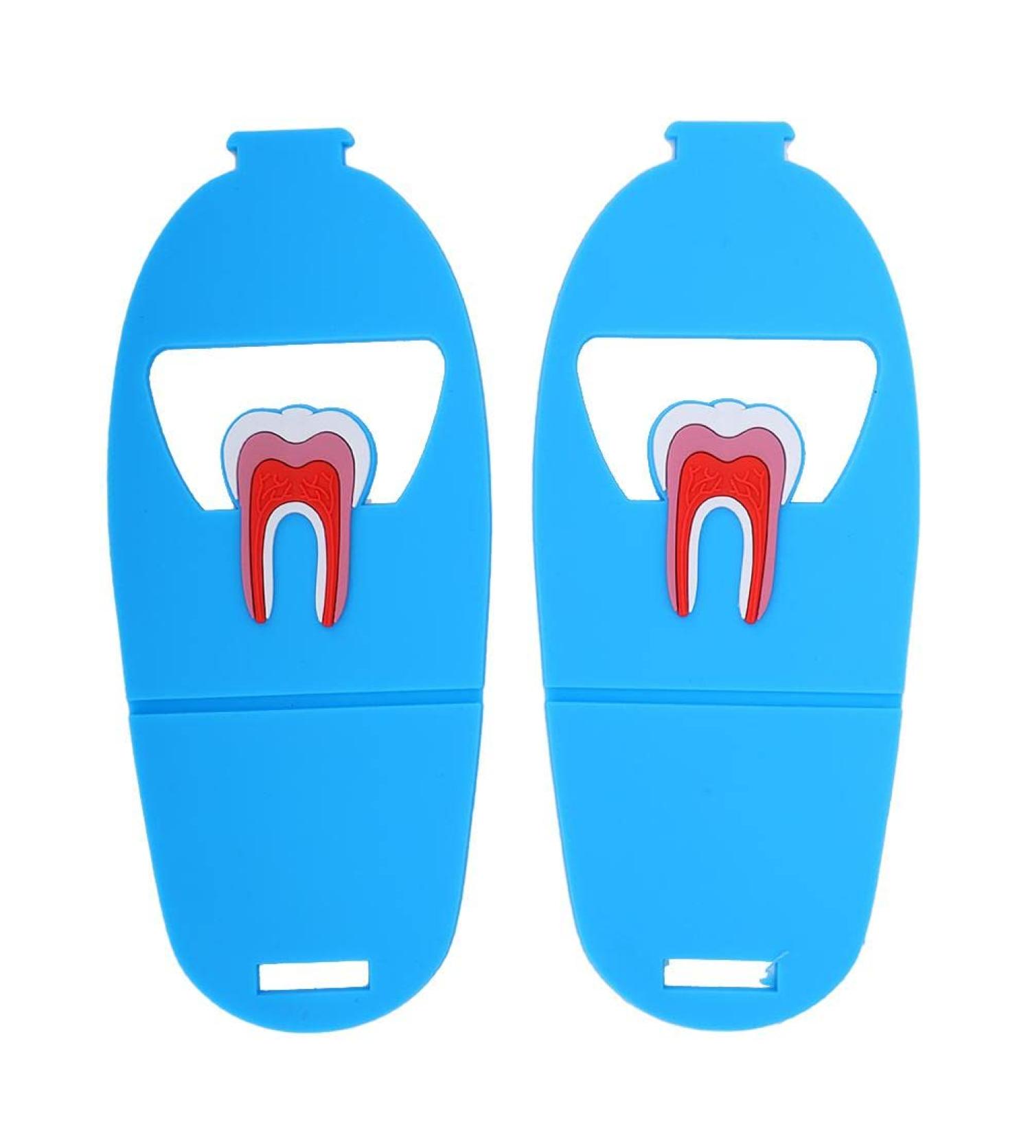 2PC Tooth Shape Dental Card Holder - Multi-Colored | Best International Shipping - Buy Online on GoSupps.com