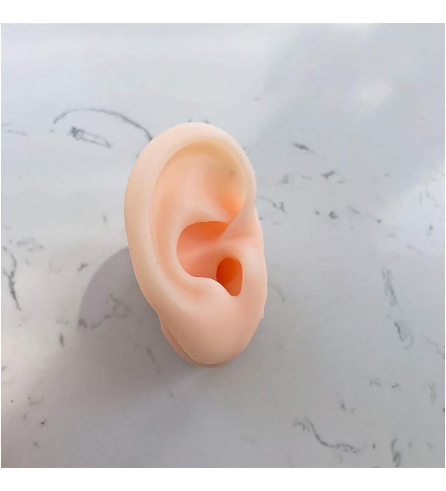 Simulation Silicone Right Ear Model Soft Silicone Artificial Ear Model for Ear Picking Practice Long Ear Canal for Teaching Students Simulation Display Props Teaching Tools Jewelry Display. - Buy Online on GoSupps.com