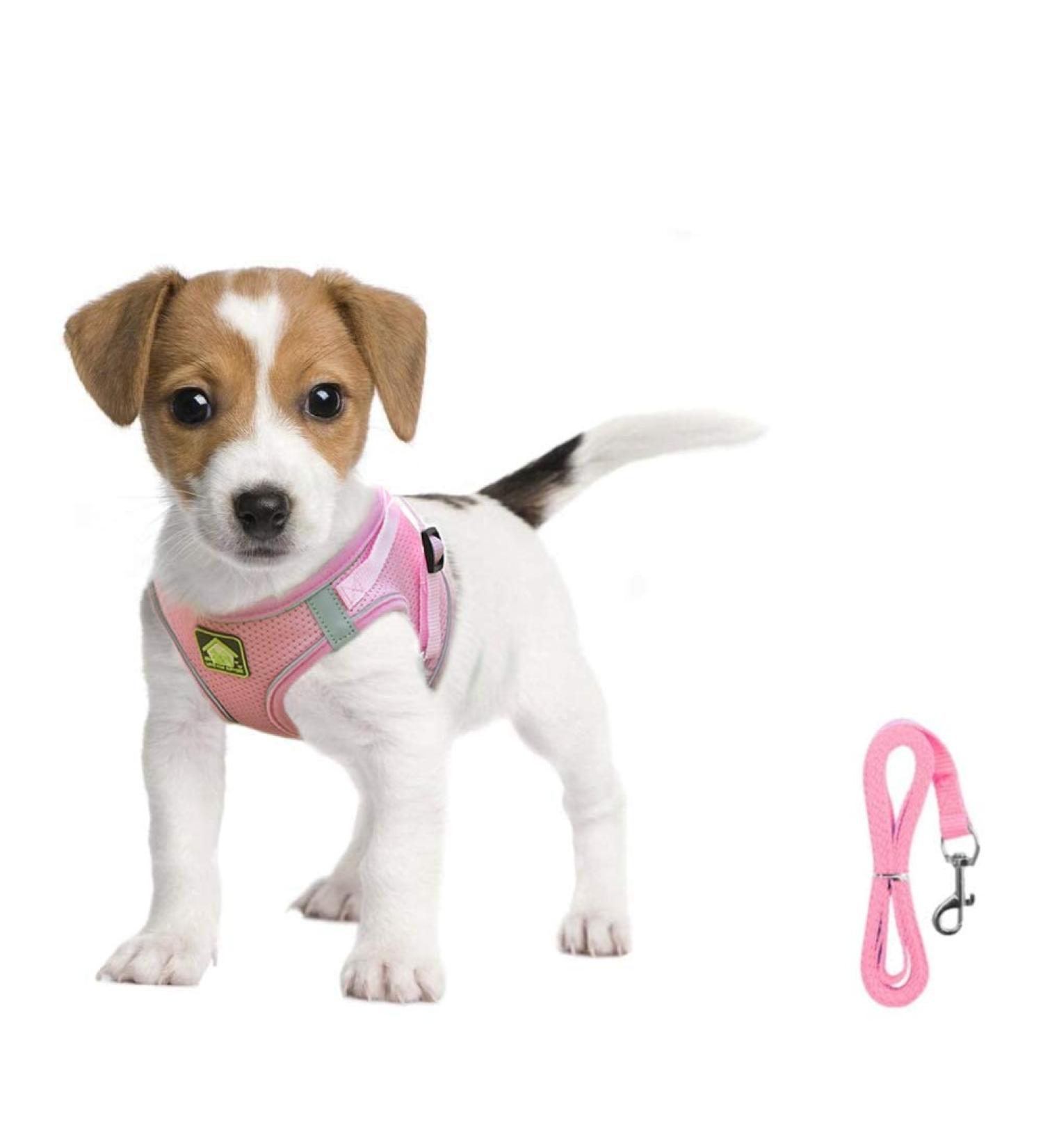 Femax Adjustable Dog Harness & Leash for Small/Medium Dogs & Cats - Soft Mesh No Pull Reflective Breathable Vest for Puppies - Fits Chihuahua & Cats (Breast 35-40cm) - Pink - Buy Online on GoSupps.com