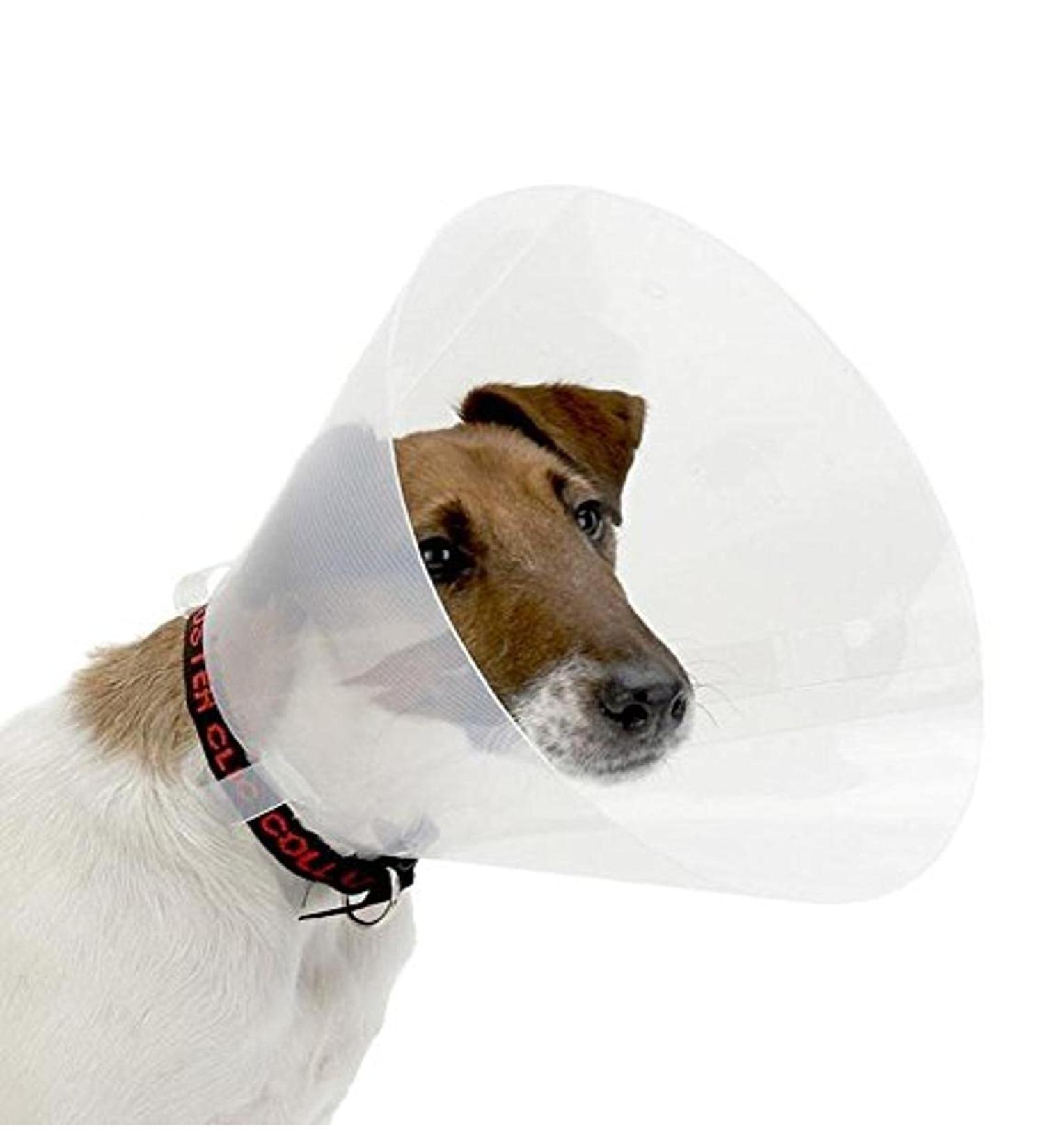 Croci - Elisabethan collar for dogs size XXL cone -shaped Elisabethan collar for protecting and care for dogs and cats prevents scratches bites and licks 30 cm