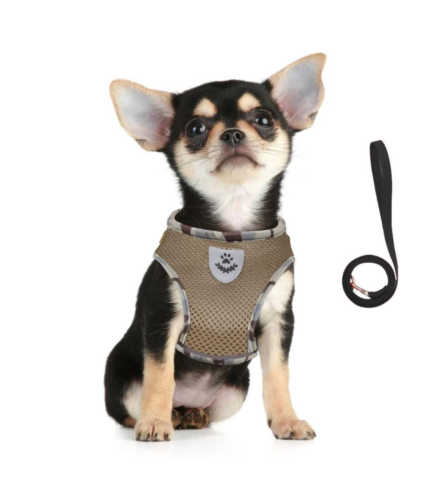 Buy Femax Camouflage Dog Harness & Linen Set | Soft Mesh Padded Reflective Adjustable Breathable for Walking Running & Training (30-34 cm) - Buy Online on GoSupps.com