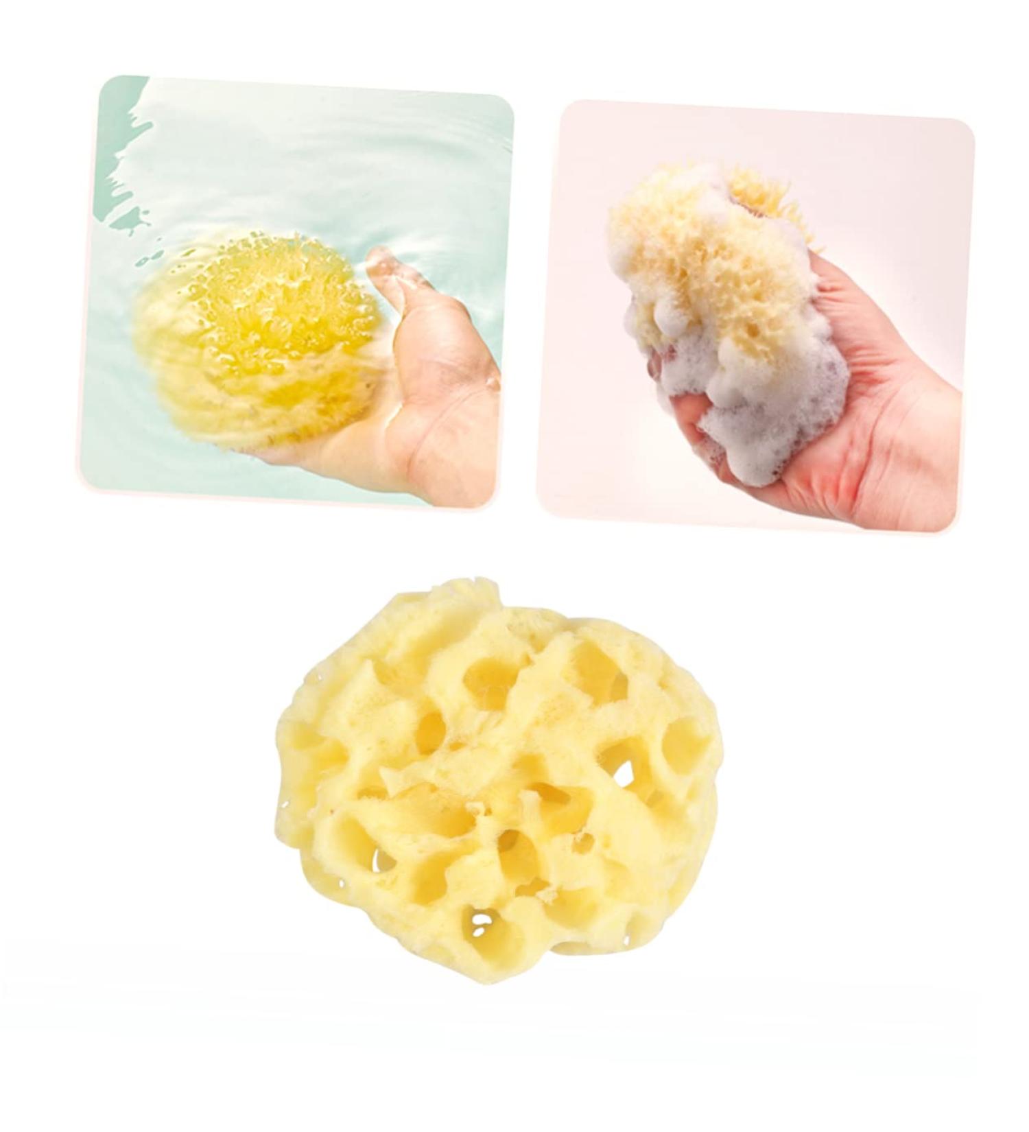 Healeved 1pc Bath Shower Sponge Sea Sponge Bath Sponge Folding Comb Men Sponge for Bathing Exfoliating Face Sponge Exfoliating Sponge Seaweed Sponge Sponges Baby Algae Sponge Take a Bath - Buy Online on GoSupps.com
