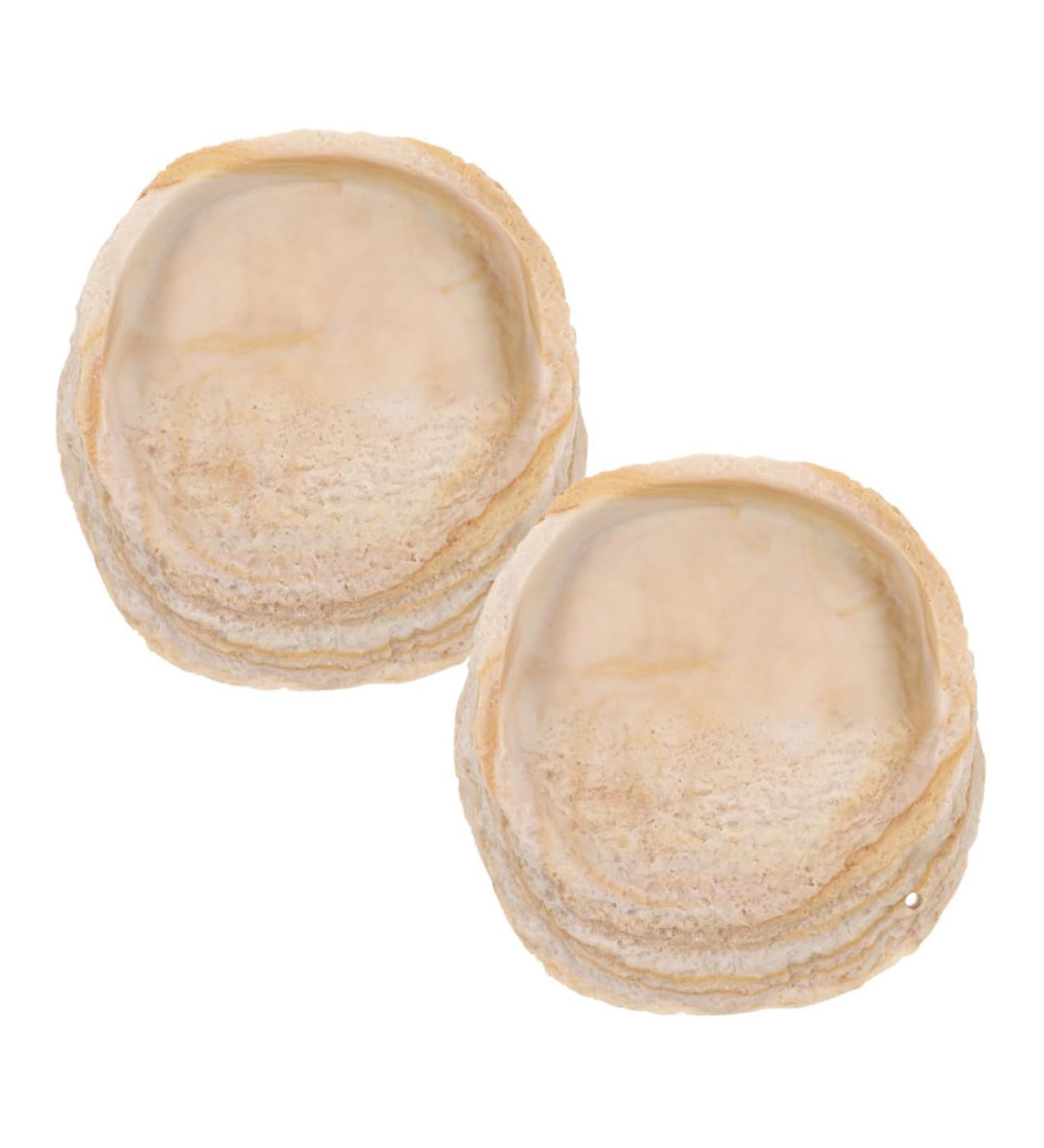 ROMISBABA 2pcs Pet Bowl Bearded Dragon Water Bowl Terrarium Water Bowl Reptile Feeding Dish Animal Resin Beige - Buy Online on GoSupps.com