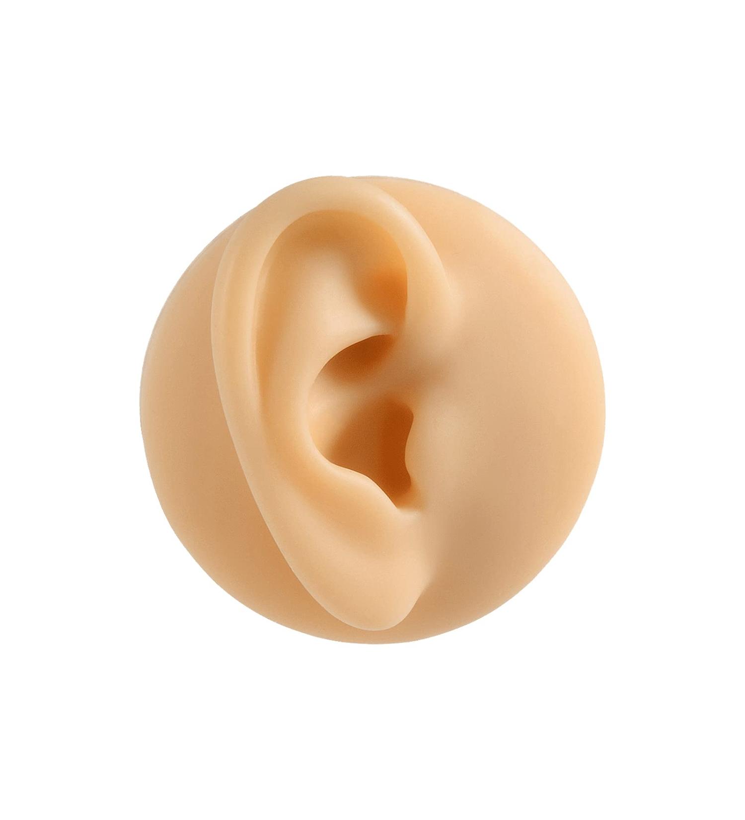 CHUANCI Soft Silicone Acupuncture Model- Right Ear for Display & Teaching - Buy Online on GoSupps.com