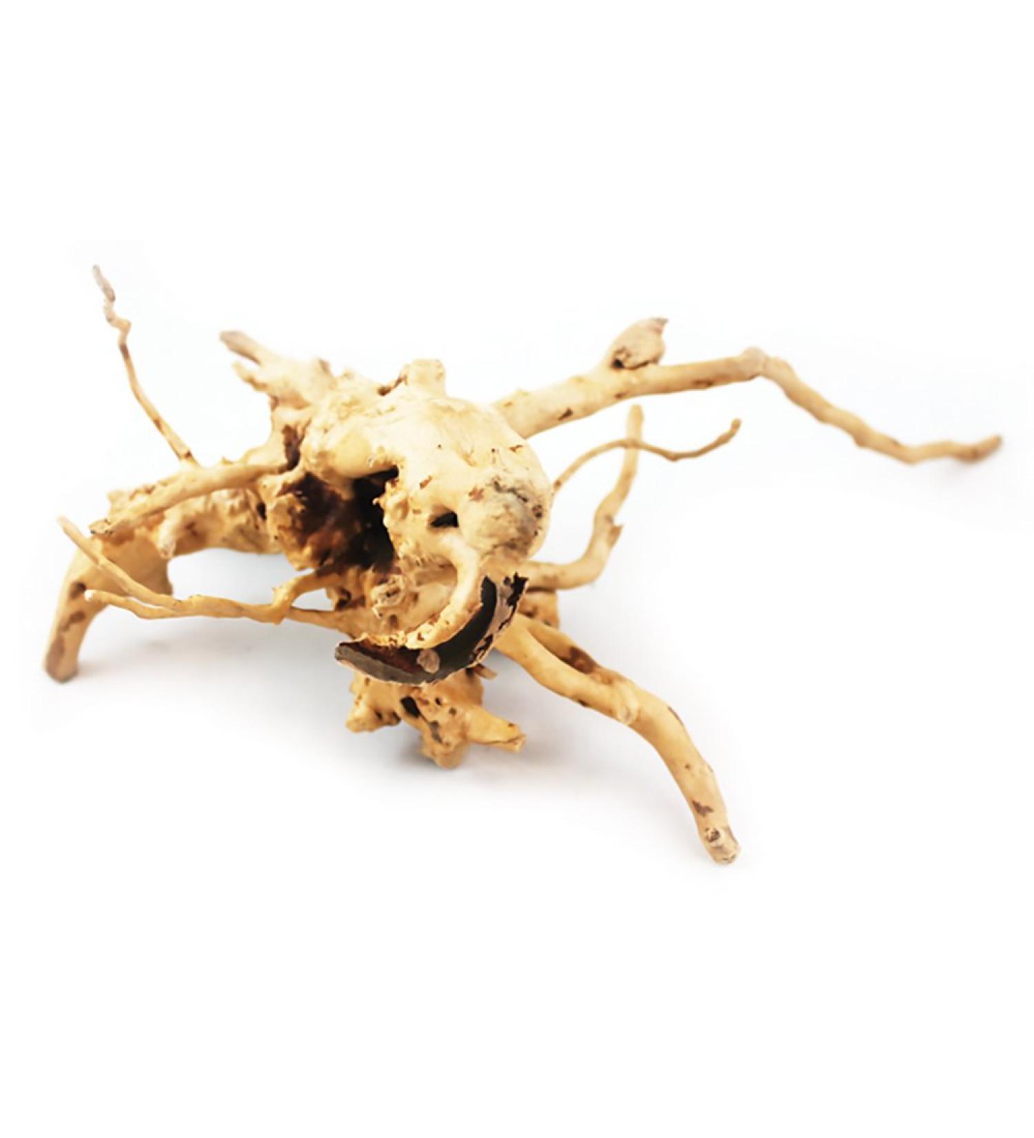 Aqua One Azalea Root Aquarium Decoration 20-30 cm 20 - 30 cm