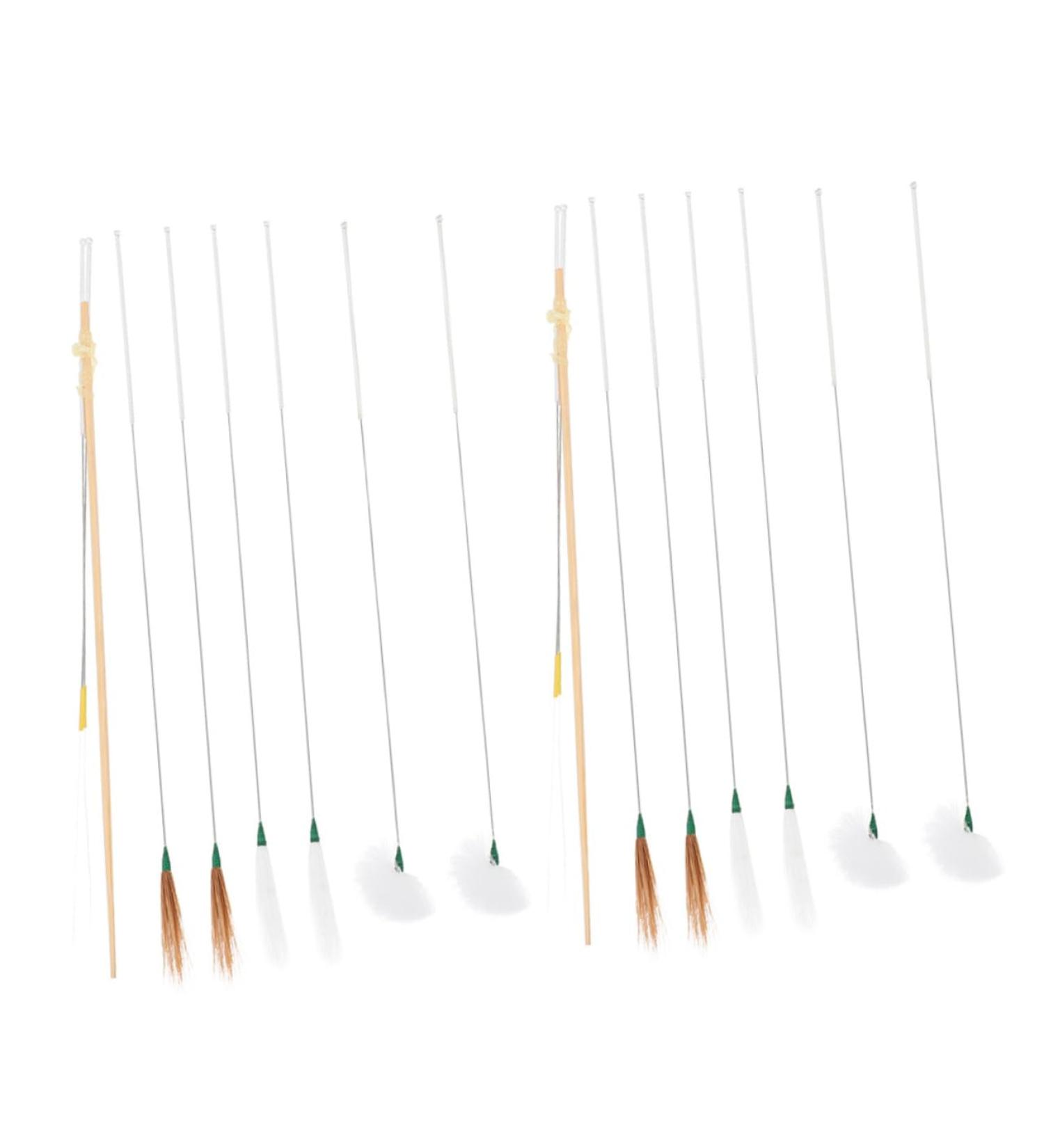Anneome 16pcs Ear Cleaning Tools Professional Earwax Removers with Handles and Goose Hair Picks for Safe Daily Use and Travel for Family and Gifting - Buy Online on GoSupps.com