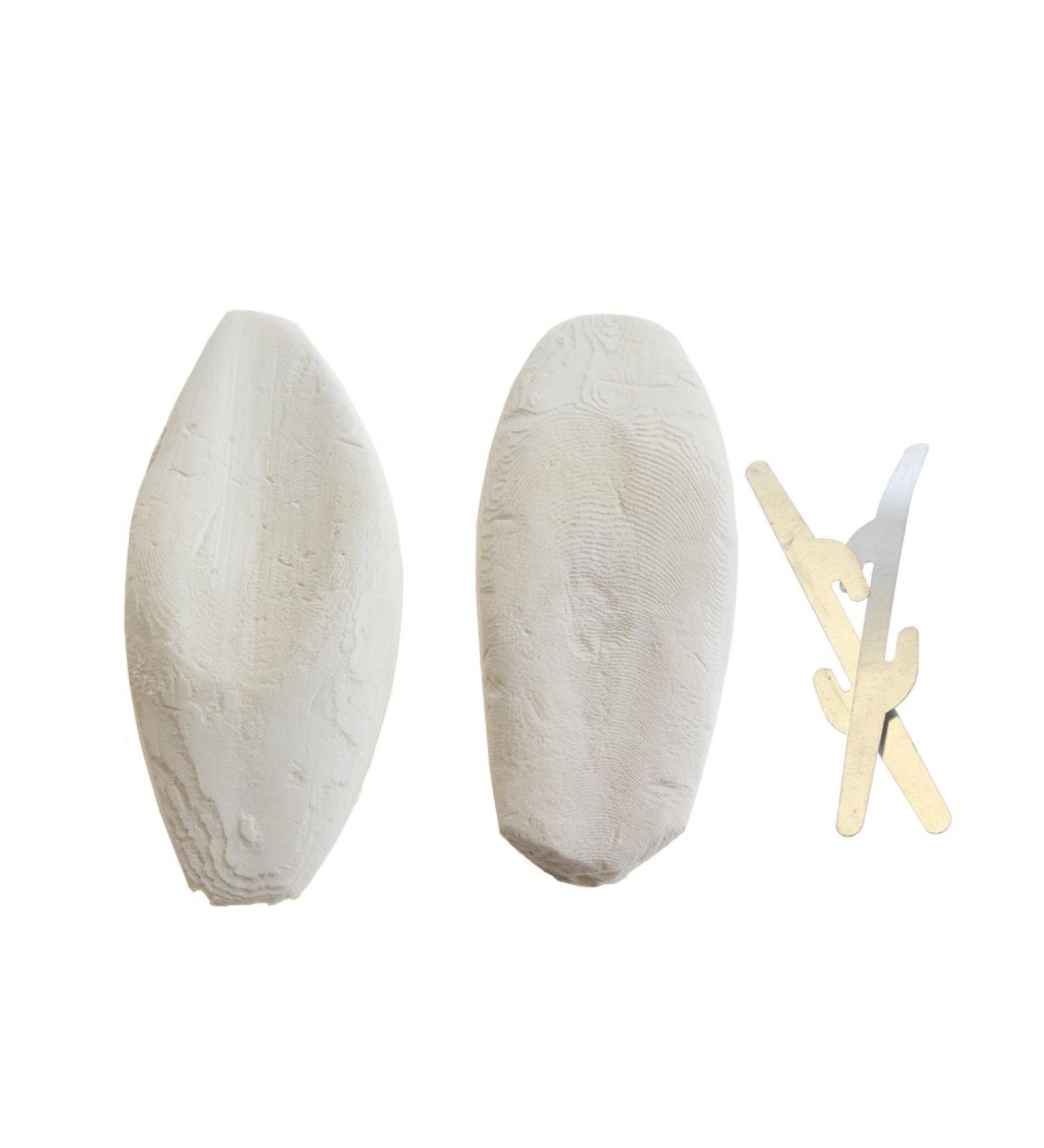 Natural Cuttlefish Bone for Reptiles Tortoises Snails Birds and Small Animals 4-6 inch Twin Pack - Buy Online on GoSupps.com