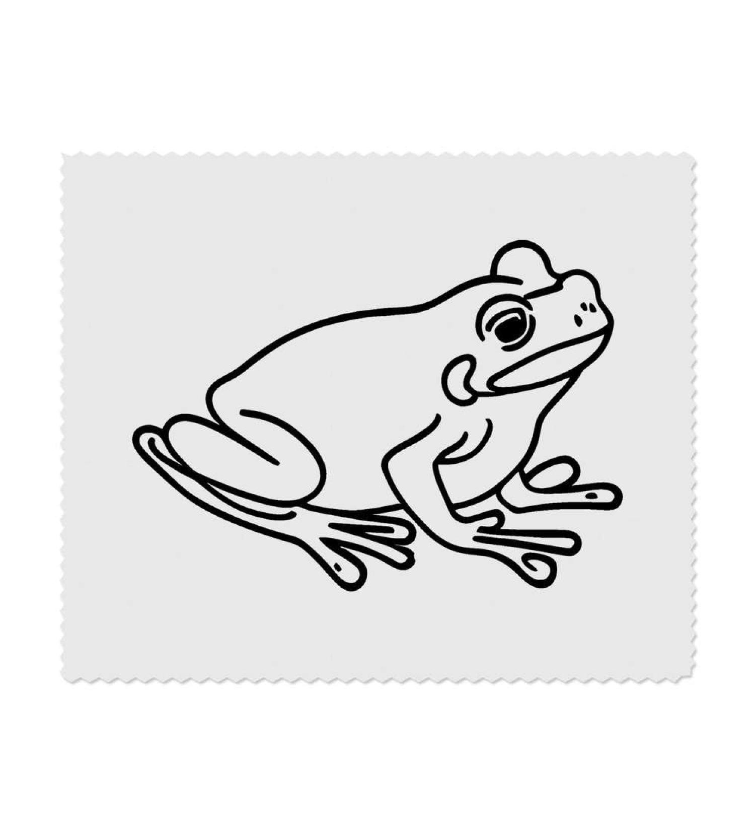 Buy 2 x Sitting Frog Microfiber Cleaning Cloths | Eco-Friendly & Effective | International Shipping - Buy Online on GoSupps.com
