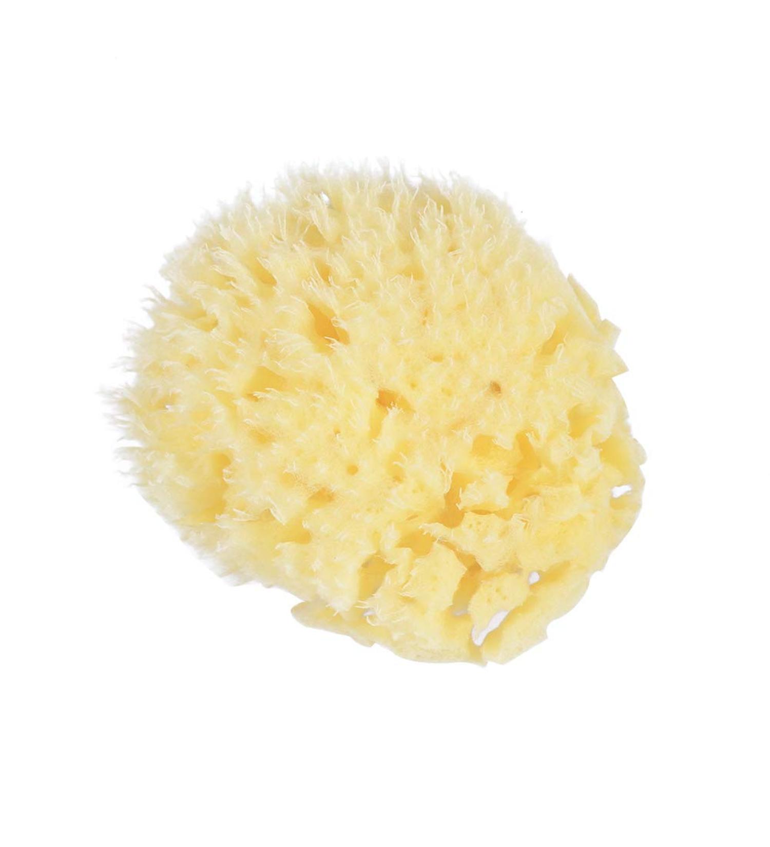 Angoily Natural Sea Sponges Soft Bath Sponges Body Puff Scrubber Used in Bath Shower Cleansing Exfoliating - Buy Online on GoSupps.com