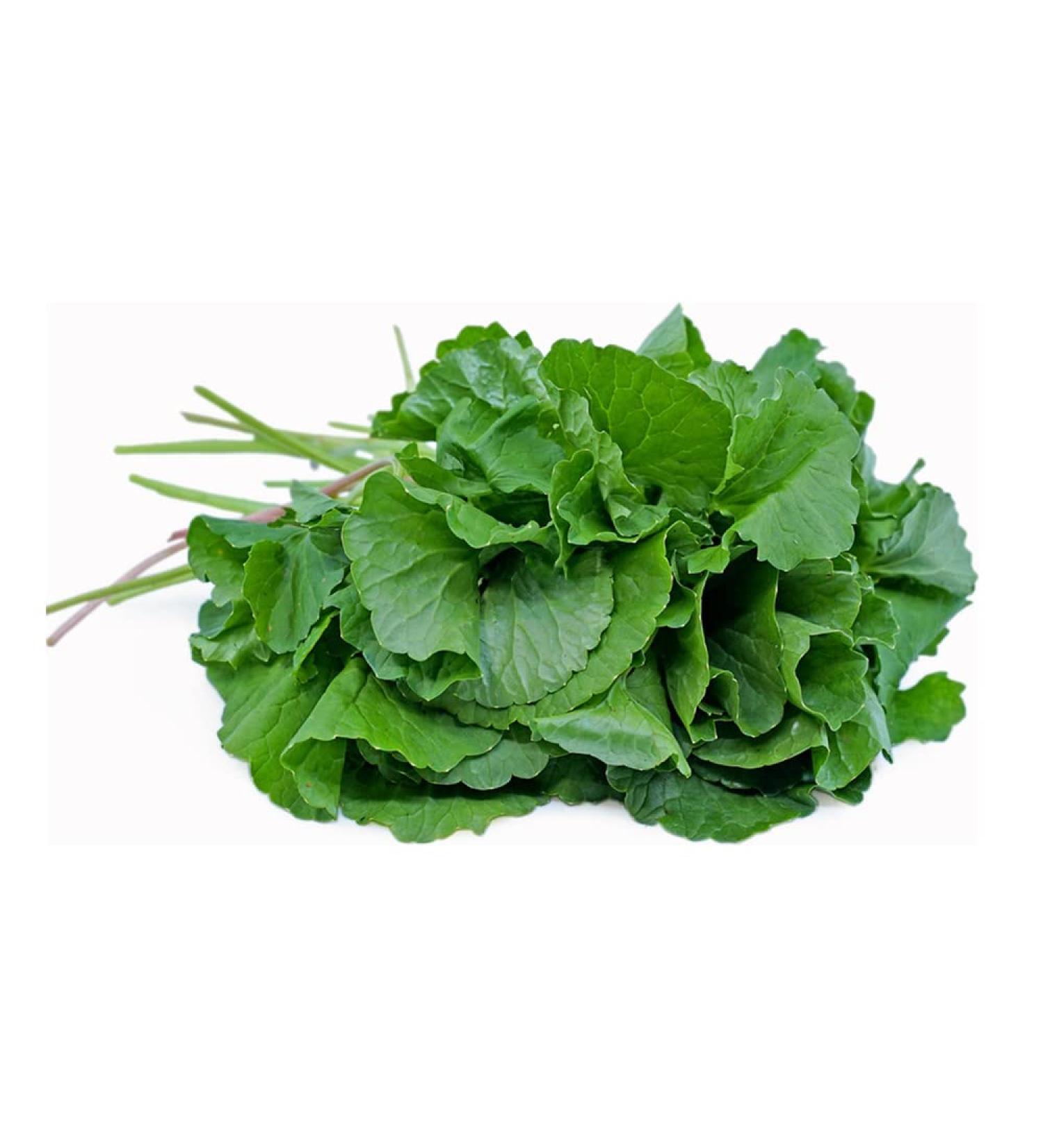 Fresh Vallarai Leaves Bunch | Single Bunch | Vallarai Keerai | Gotu Kola | Green leafy | Healthy | Used Cooking for Juice & Soup etc.. | Approx 200G - Buy Online on GoSupps.com