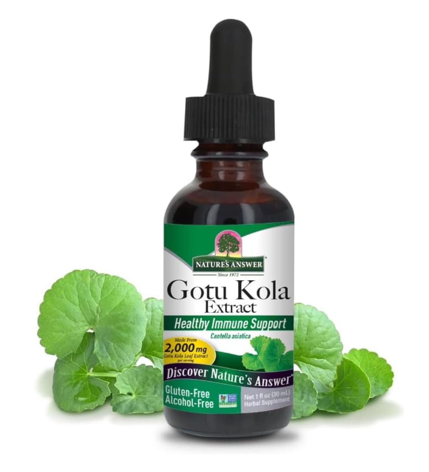 Natural's Answer Gotu Kola Extrait 2000 mg 30 ml - Buy Online on GoSupps.com