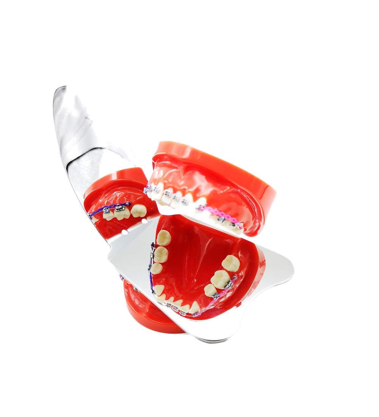 Sino Dental Intraoral Mirrors Double Sided Photography Mirror | Anti-Scratch Rhodium Plated Surface - Buy Online on GoSupps.com