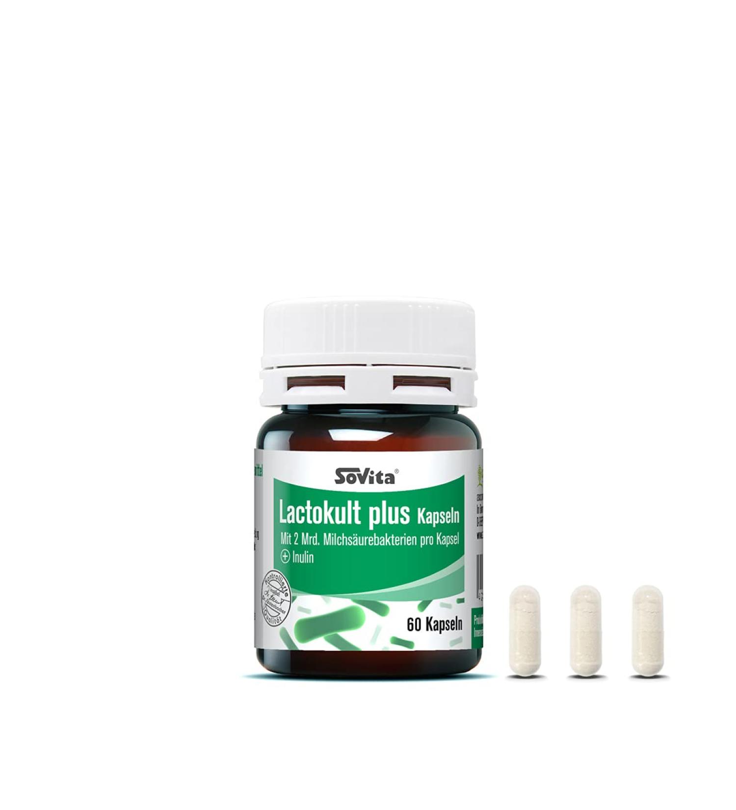 Lactokult Plus Capsules - 60 Count | 2 Billion Probiotic Bacteria + Inulin | Premium Dietary Supplement for Digestive Health - Buy Online on GoSupps.com