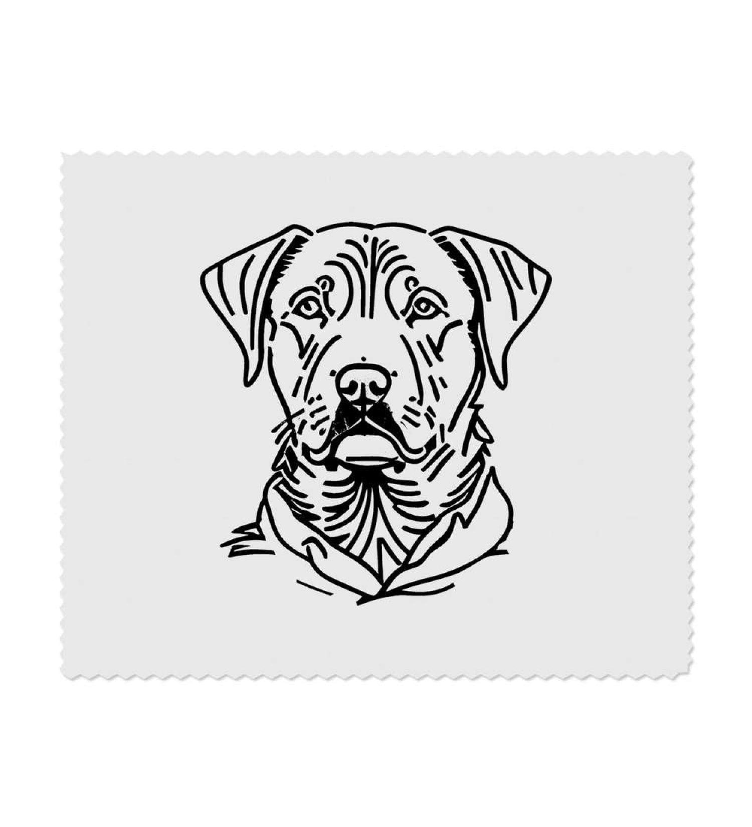 Buy 2 x Sleepy Labrador Microfiber Cleaning Cloths - International Shipping Available - Buy Online on GoSupps.com