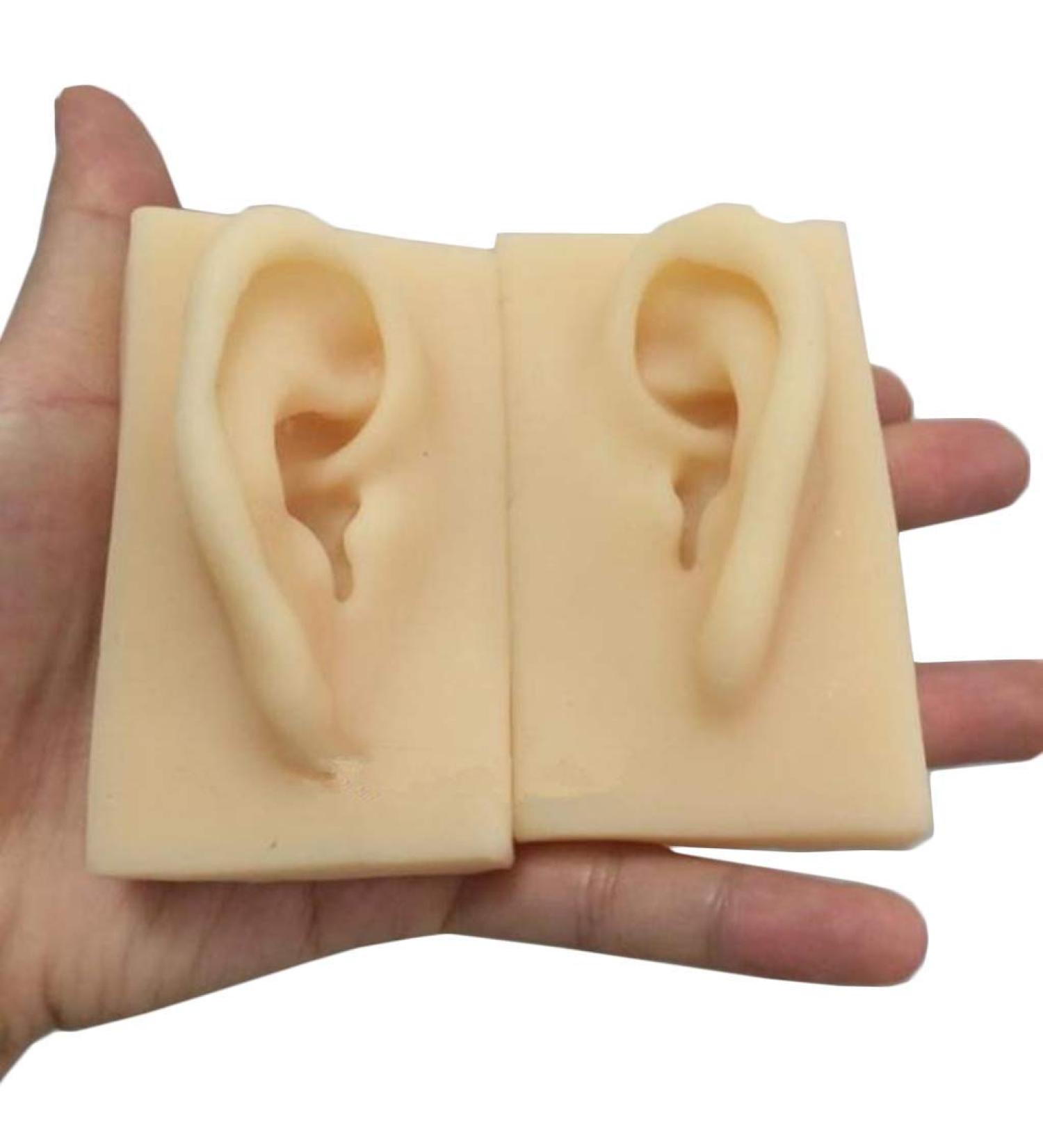 Human Ear Model Flexible Soft Silicone Imitation Real Ear Teaching Model -1 Pair Ear Mold Artificial Display Sample Educational Resources in Scienc - Buy Online on GoSupps.com
