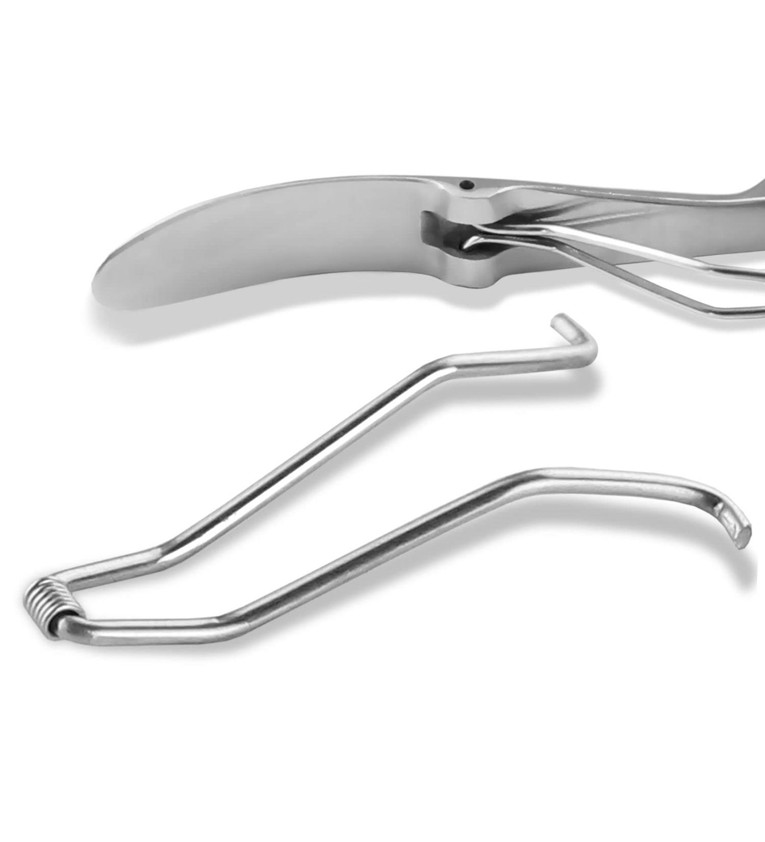 Stainless Steel Foot Nail Tongs Spare Spring - Replacement Wire Spring for 11-13 cm Nail Tongs | Essential Foot Care Accessory - Buy Online on GoSupps.com