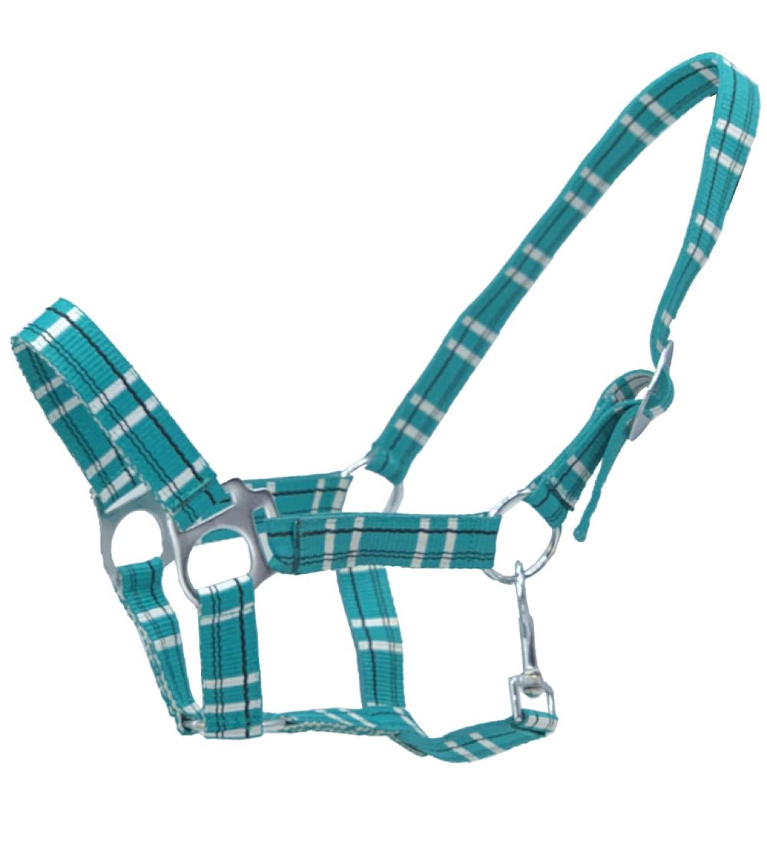 ASTILE EQUESTRIAN HEADCOLLAR ECONOMY HALTER HORSE COB PONY (FULL SEA GREEN / BLACK) FULL SEA GREEN / BLACK