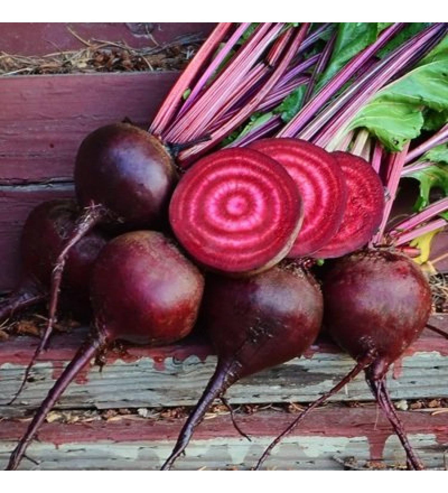 5 Grams of semi Lutz Green Leaf Conventional and Organic Beet