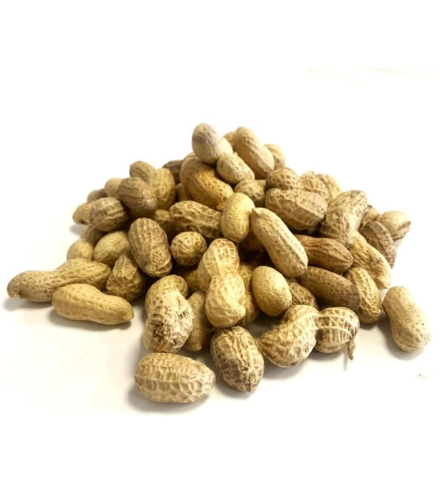 *Special* Peanuts in Shells 200g Premium Safe Wild Bird Food Monkey Nuts Afflotoxin Free Peanut 200 g (Pack of 1) - Buy Online on GoSupps.com
