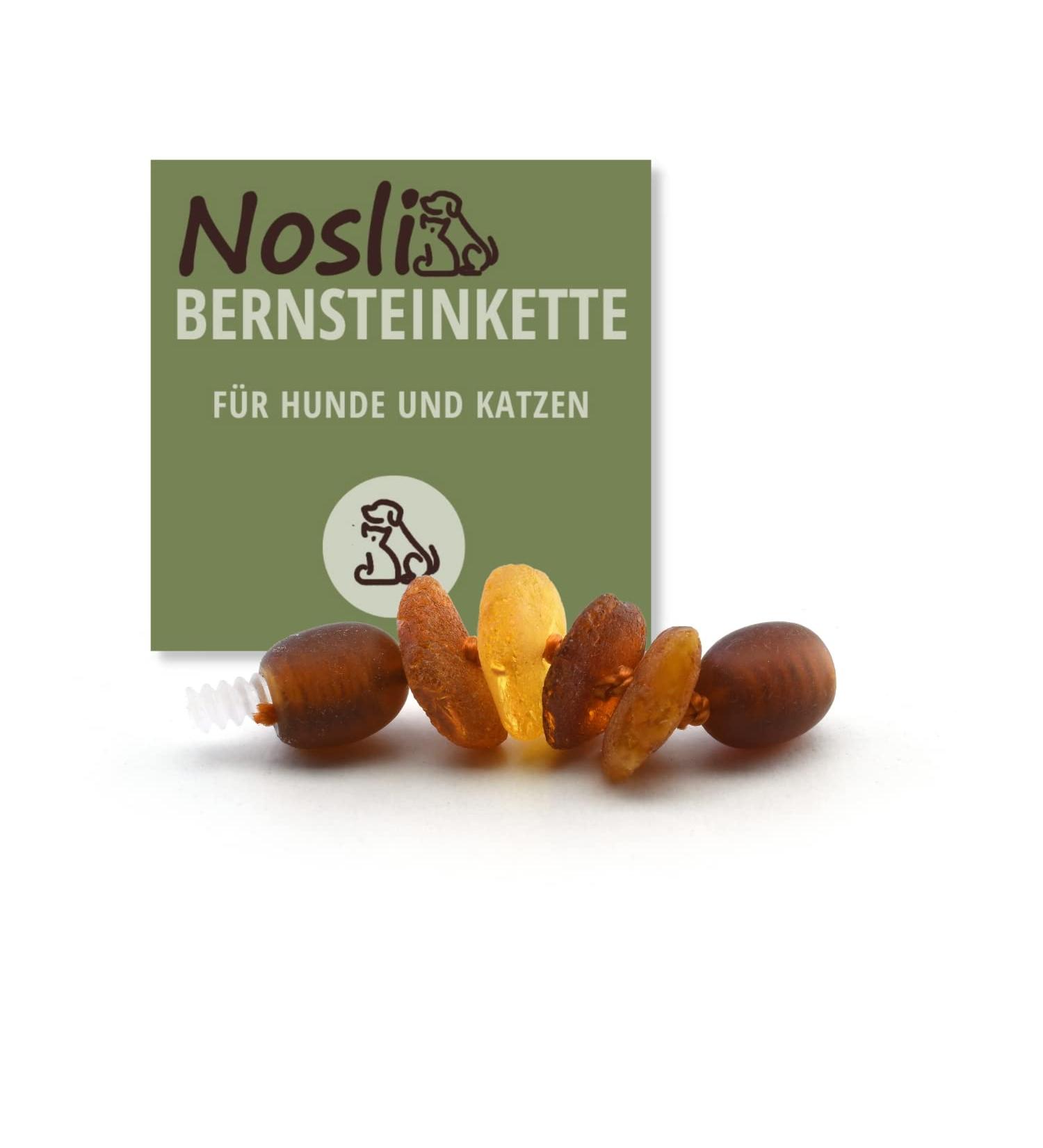 Nosli Amber Necklace Collar for Dogs & Cats | Baltic Amber Dog Collar | Adjustable 3cm Extension - Buy Online on GoSupps.com