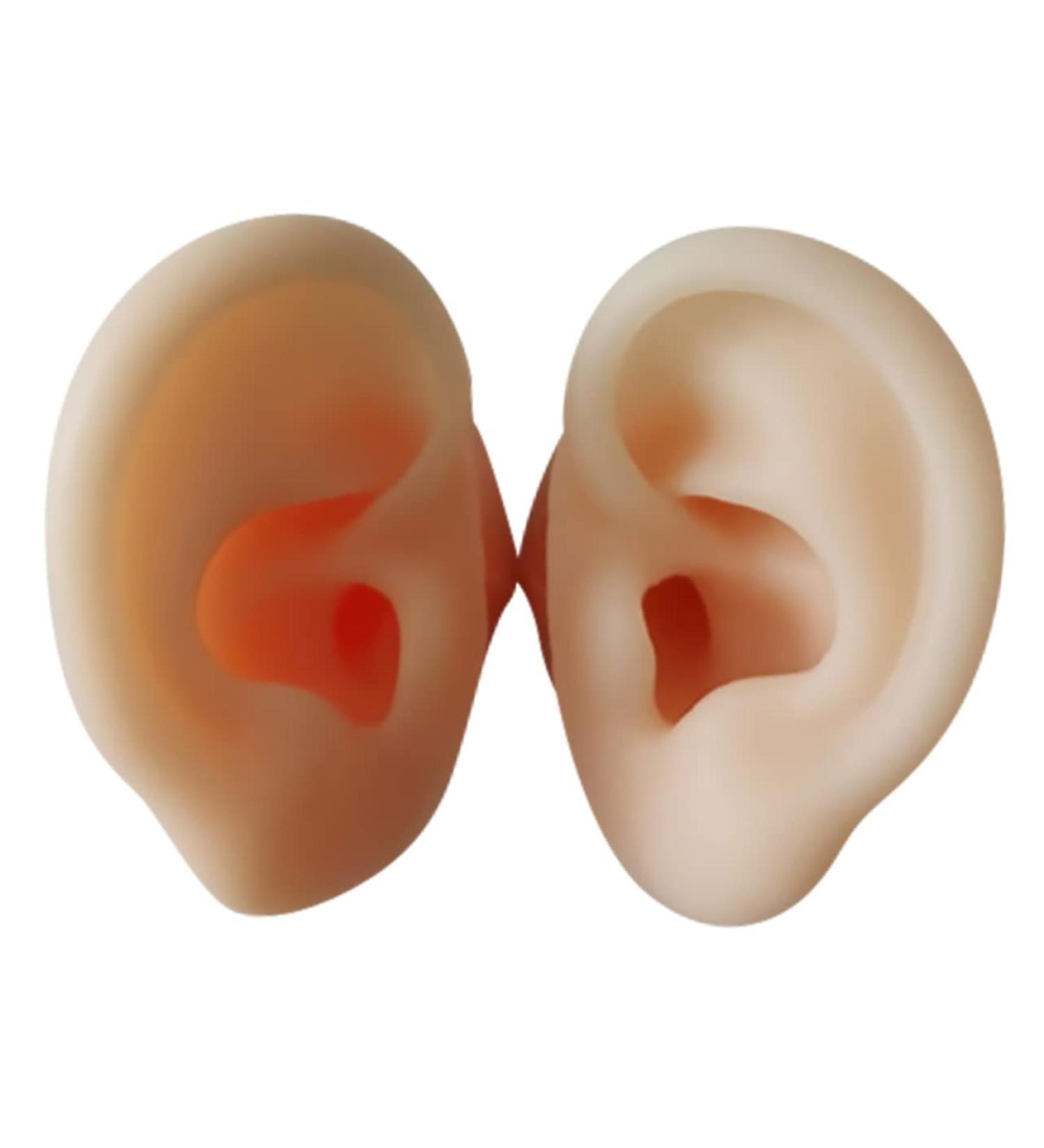 Tofficu 1 Pair Silicone Ear Picking Practice Tunnels | Simulated Auditory Meatus Model for Ear Display | Artificial Display Ear Mold - Silica Gel - Buy Online on GoSupps.com