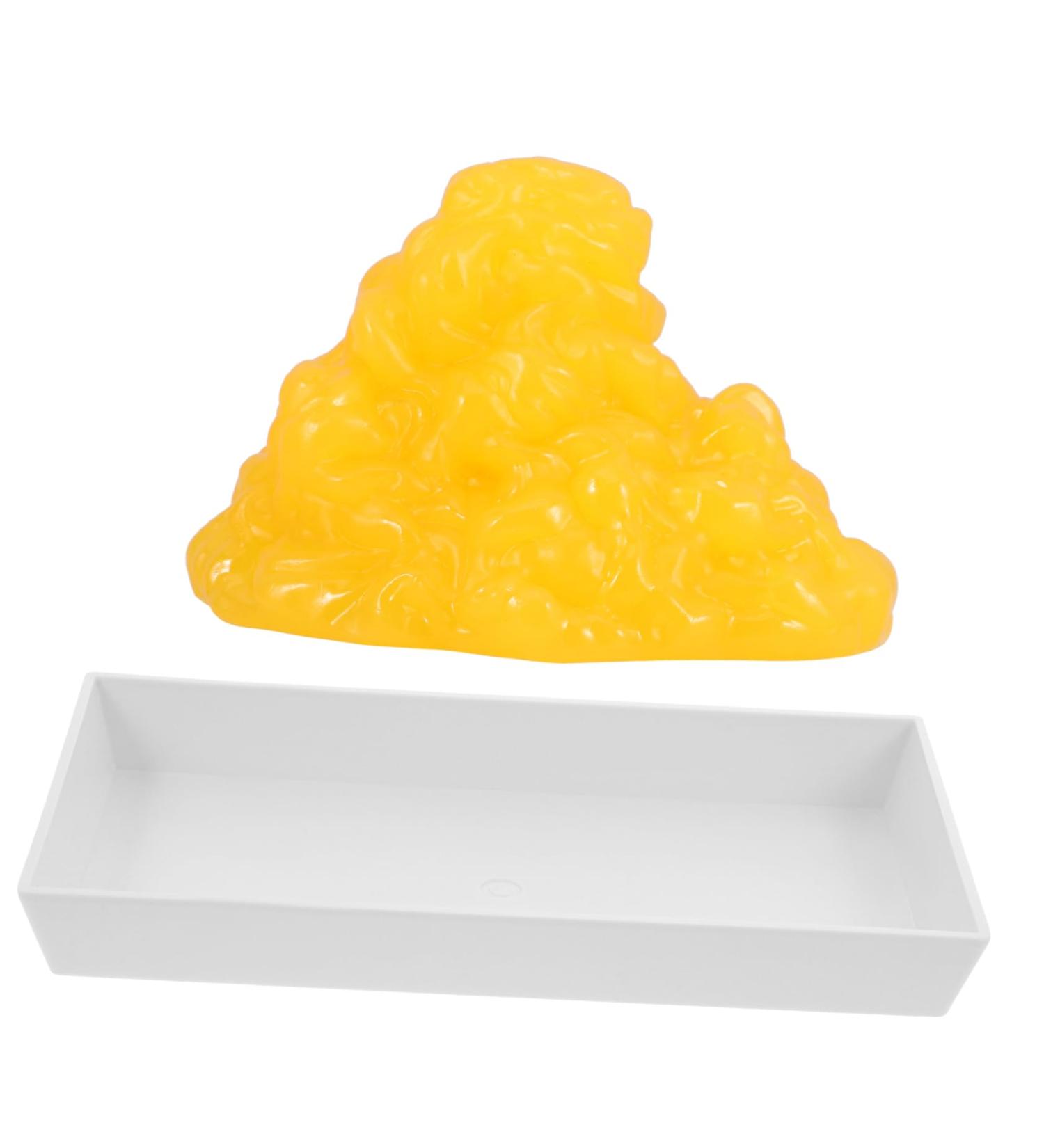 VILLFUL Fat Model Models Biology Learning Tool Maniquin Fat 1lb Human Body Fat Replica Fitness Base Sports - Buy Online on GoSupps.com