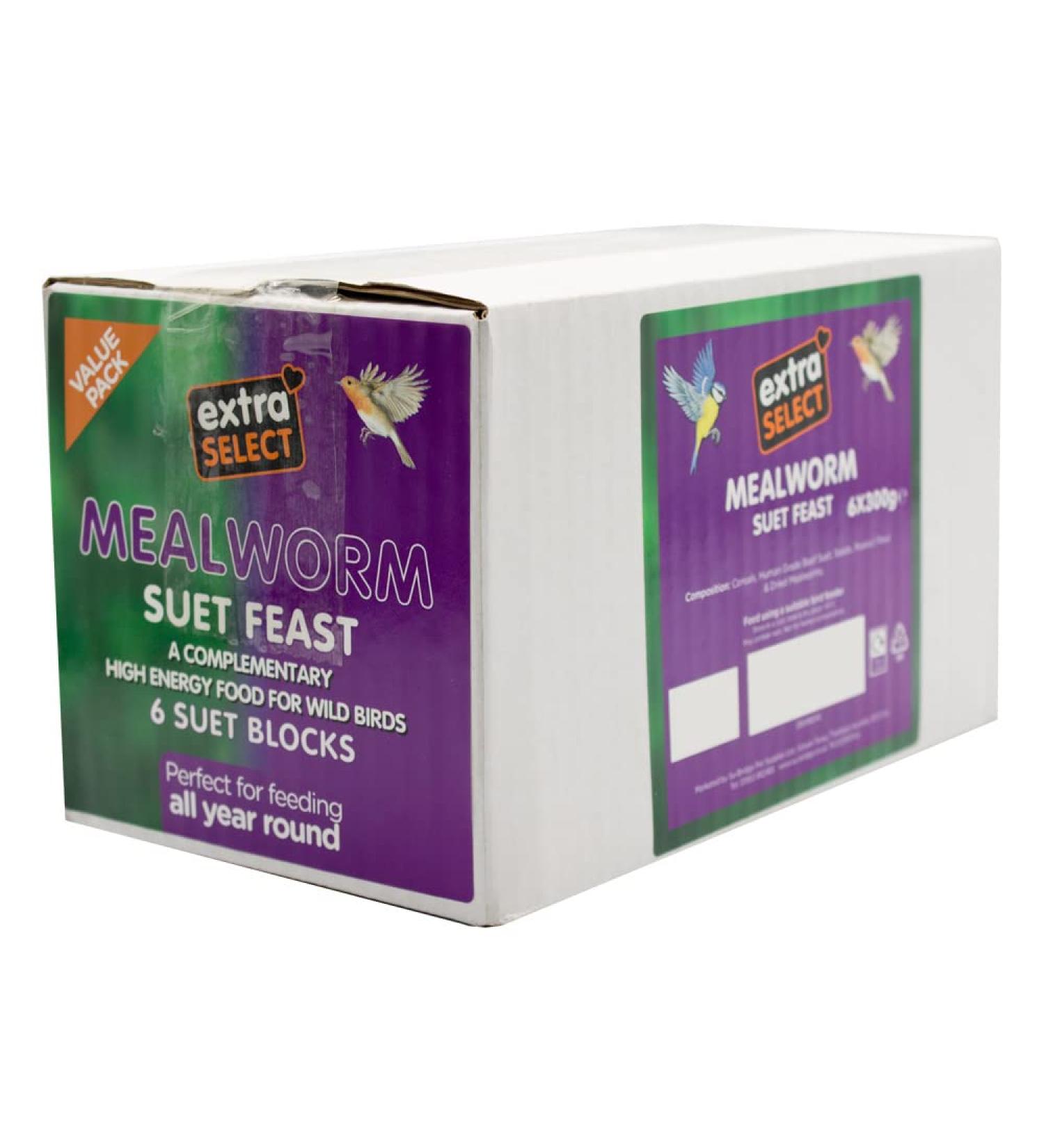 Extra Select High Energy Mealworm Suet Blocks Bird 6x300gm Suet 300 g (Pack of 6)