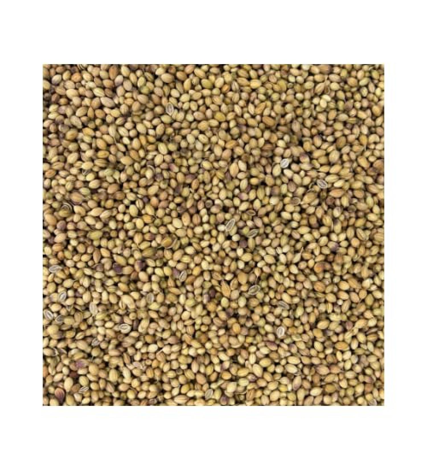 Corriander Seed Whole (1 LB) - Buy Online on GoSupps.com