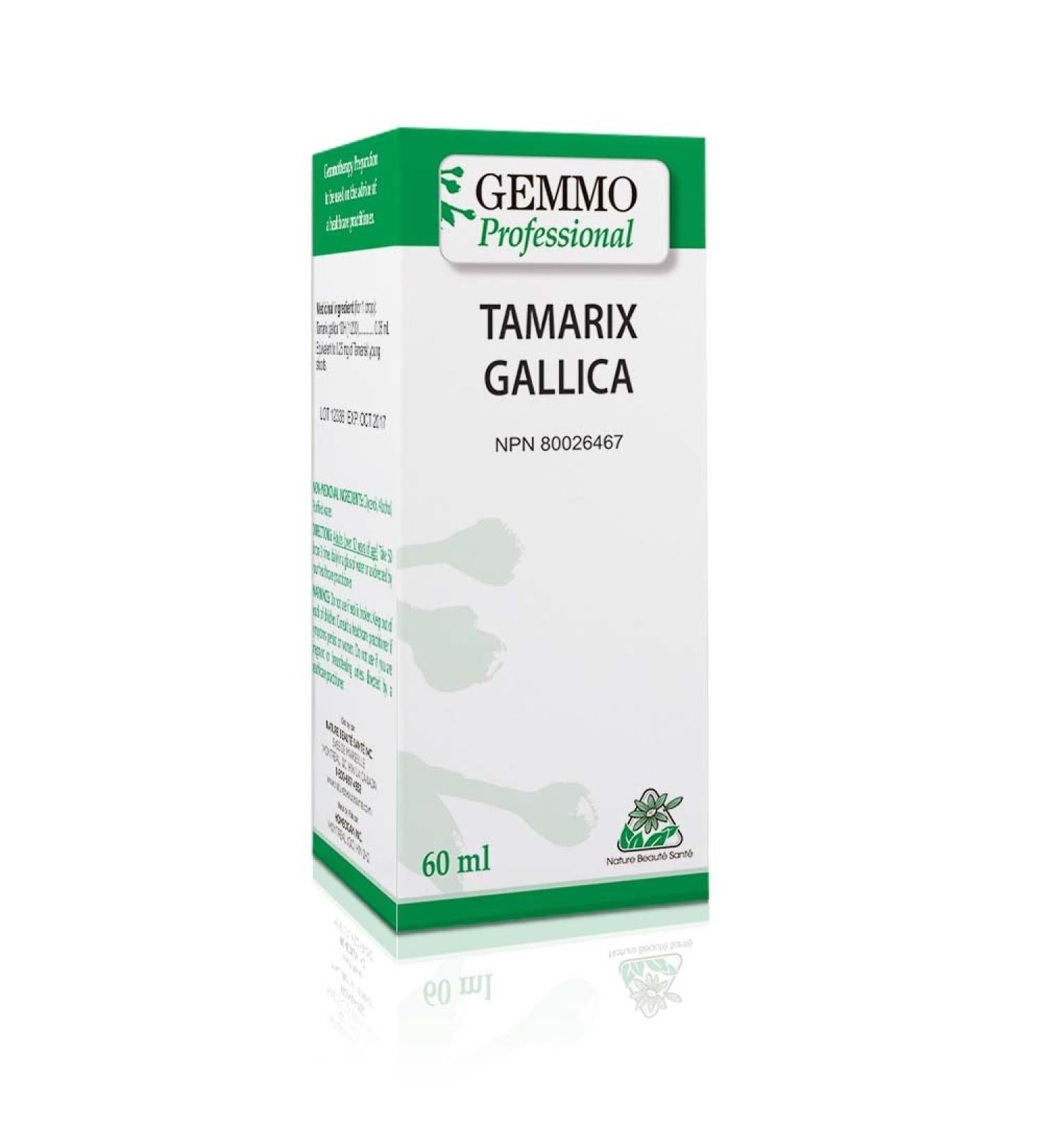 Tamarix Gallica 60 ml Organic | Gemmo Professional