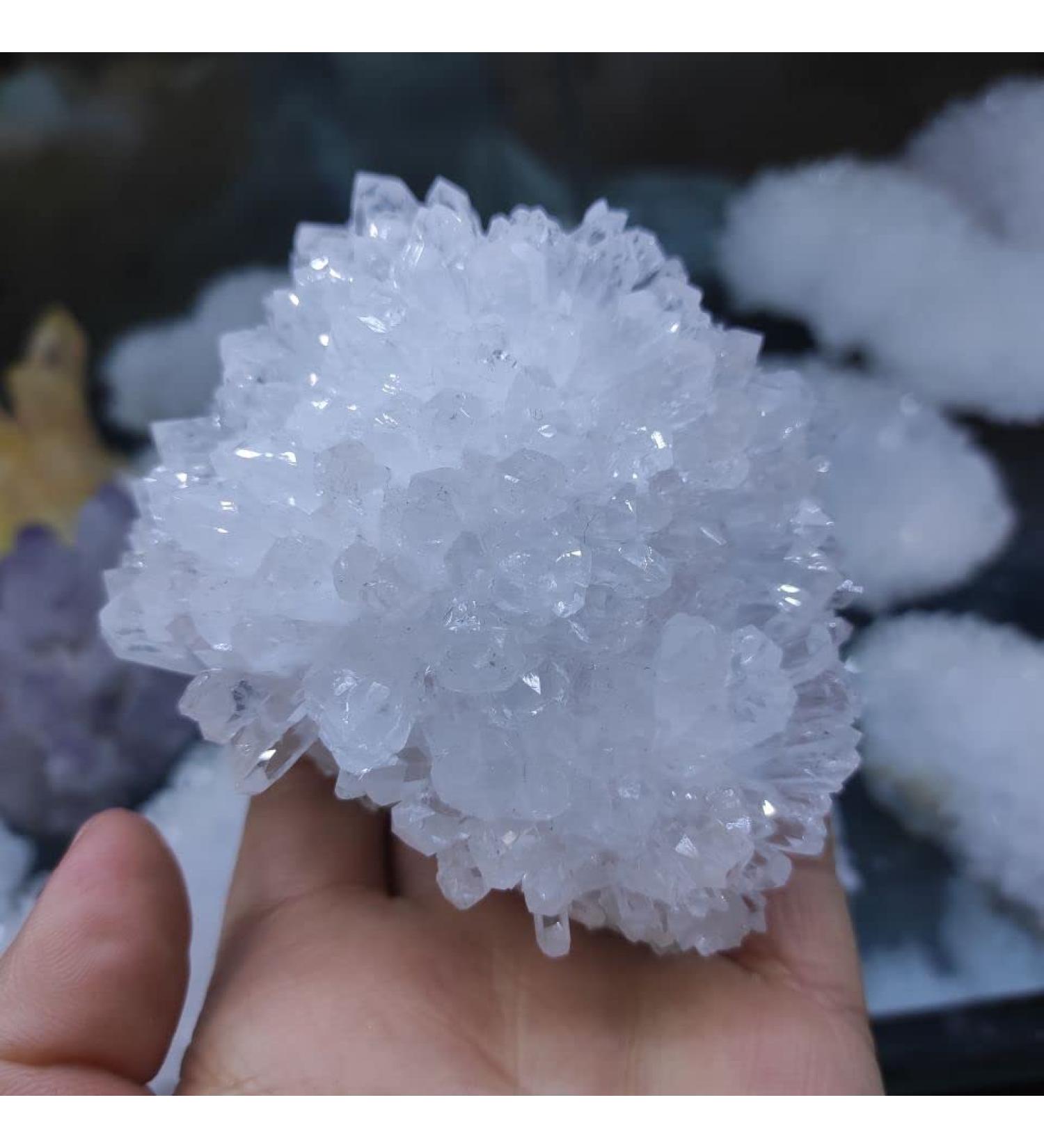 1pcs Natural White Quartz Crystal Cluster Clear Quartz Specimen Stone Crystal Point Specimen Home Decoration JIZTGEDM (Size : 500-600g) - Buy Online on GoSupps.com