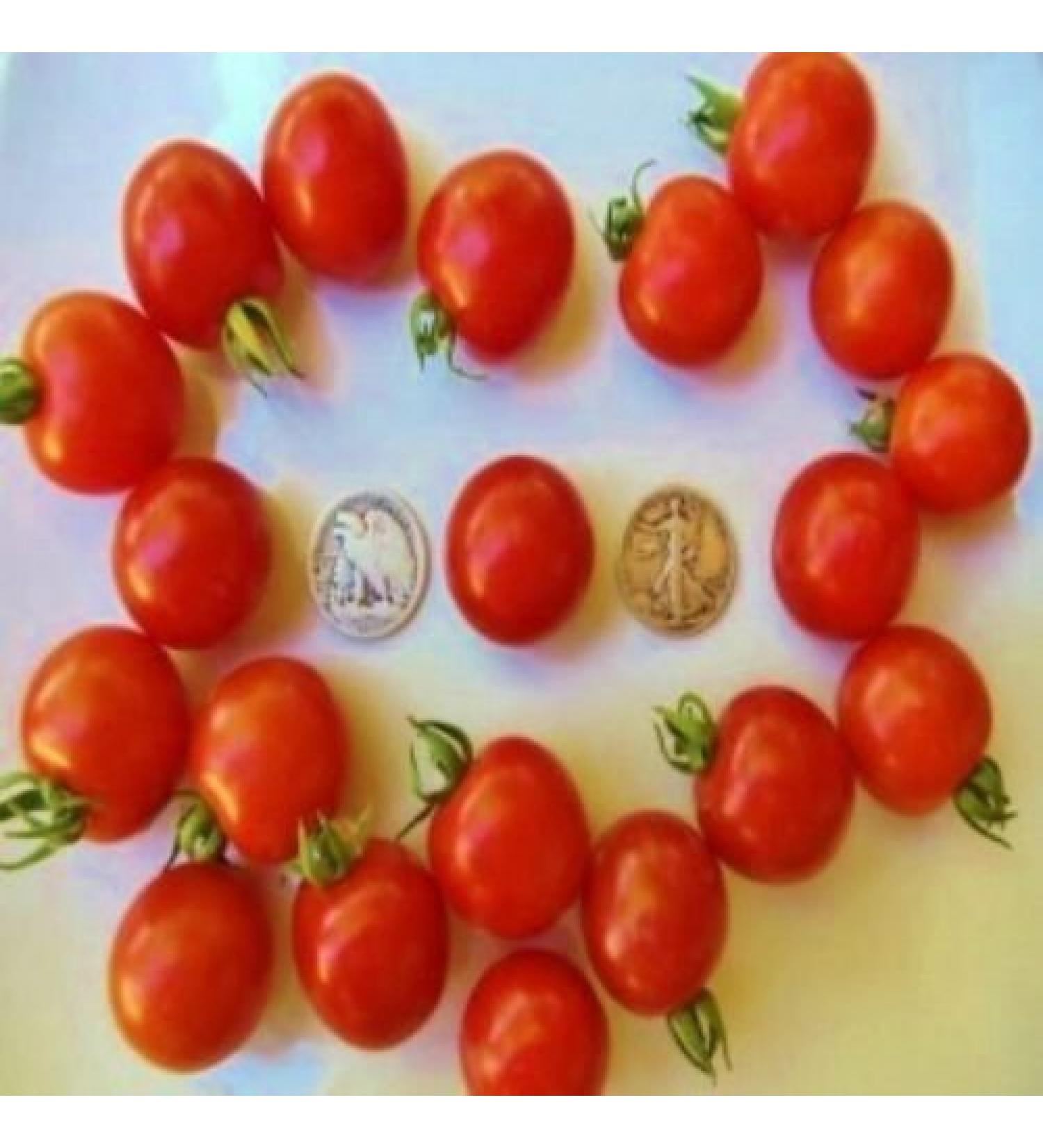 Besser Cherry - Organic Heirloom Tomato Seeds - Very Rare - 40 Seeds