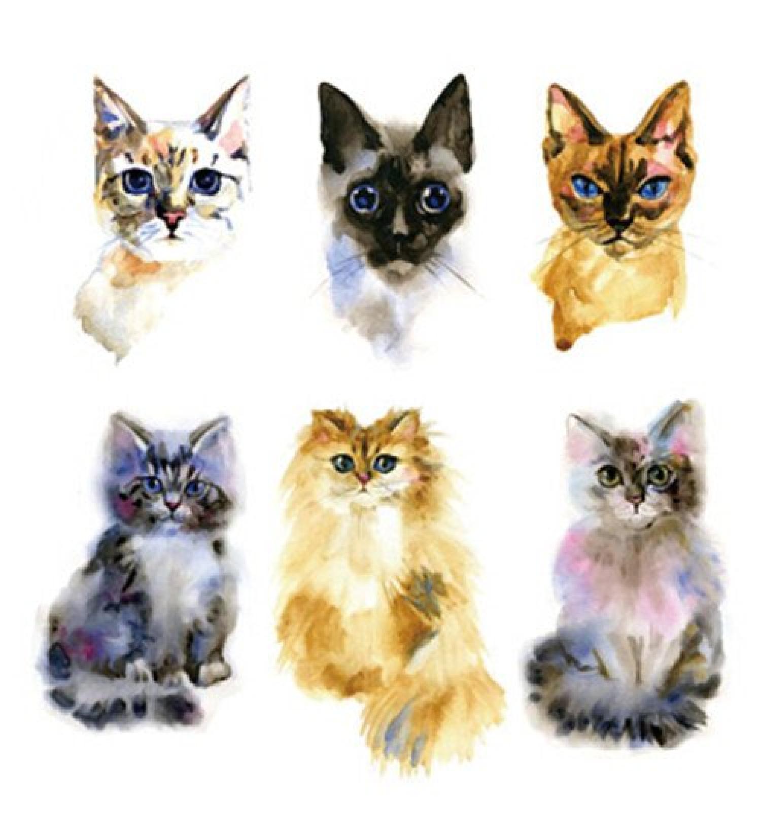 SanerLian Waterproof Temporary Fake Tattoo Stickers Watercolor Yellow Grey Cat Design Set of 2