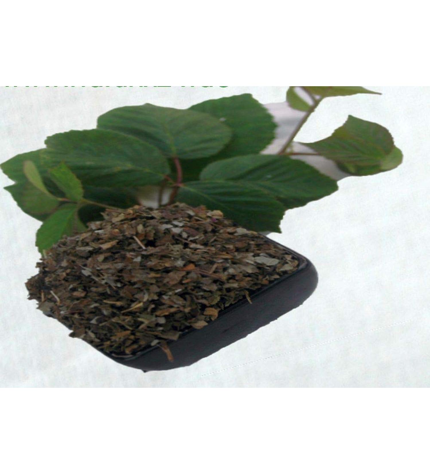 Krauterino24 - Blackberry leaves cut fermented quantity: 1000g
