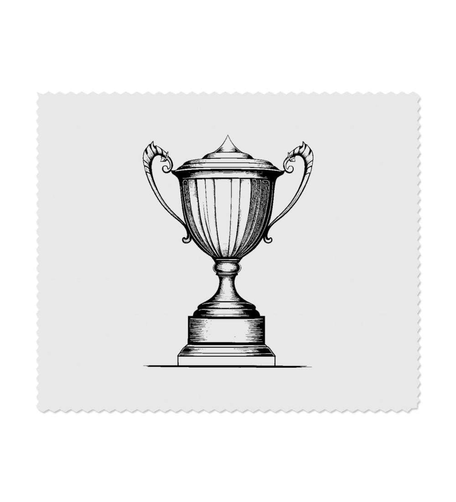 Buy 2 x Microfiber Cleaning Cloths Trophy - High Quality & Eco-Friendly for Effective Cleaning | International Shipping Available - Buy Online on GoSupps.com