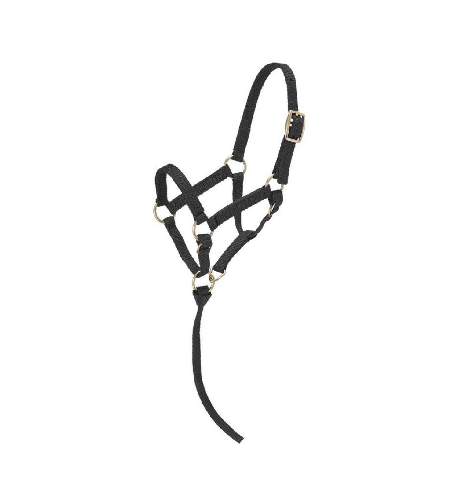 Tough 1 Miniature Nylon Halter Black Small Mini.