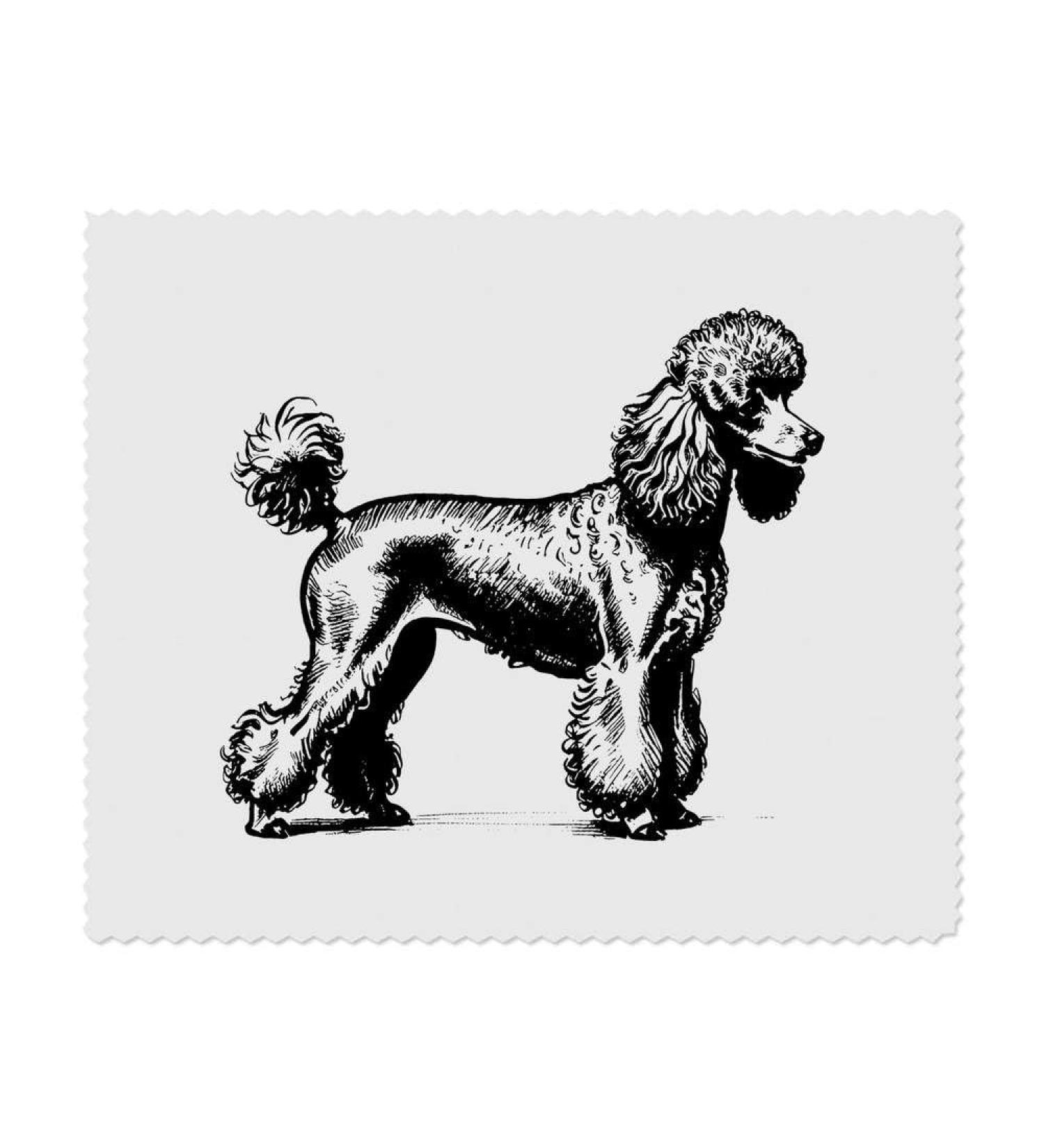Buy 2 x Microfiber Cleaning Cloths - Poodle On Show (LC00026601) | International Shipping Available - Buy Online on GoSupps.com