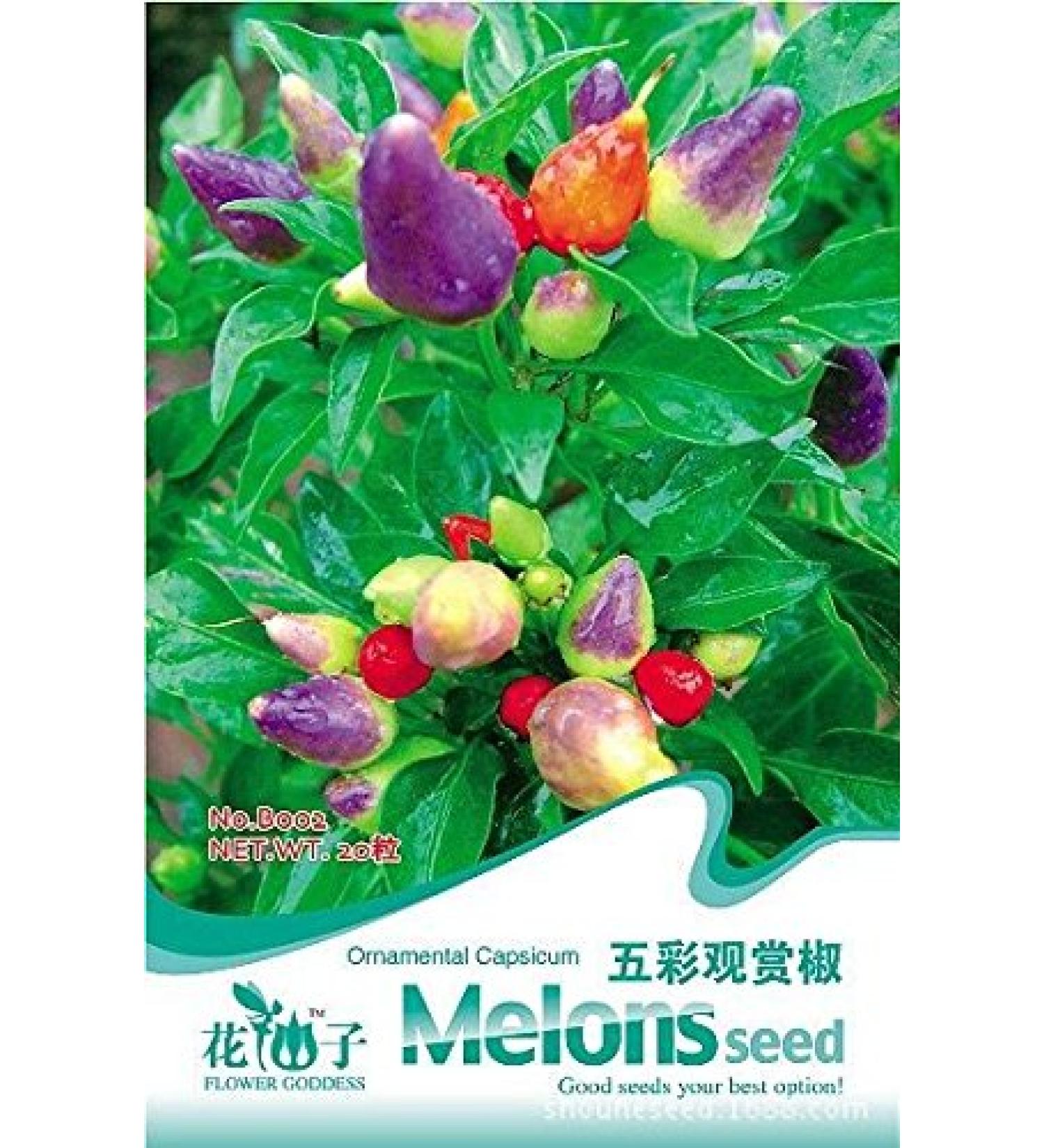 Arcobaleno Pod semi di Pepe Verdure Bonsai semi di Pepe di RARA bellezza semi scolorisce peperoncini 30 pc/sacchetto I24 peperoni Arcobaleno