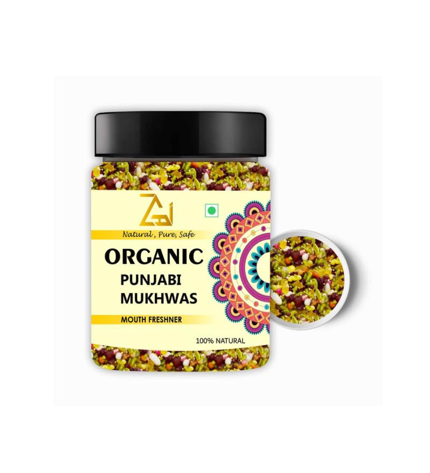 GAGZI Natural Punjabi Traditional Mouth Freshener Mix - 300 GM 300 Gram