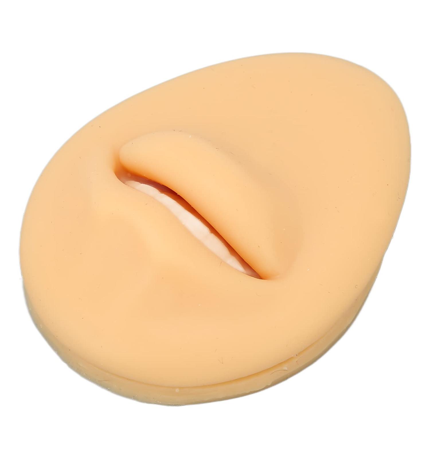 Artificial Mouth Model Soft Silicone Mouth Model Flexible Simulation Human Mouth for Body Part Display Teaching Tool Personal Care - Buy Online on GoSupps.com