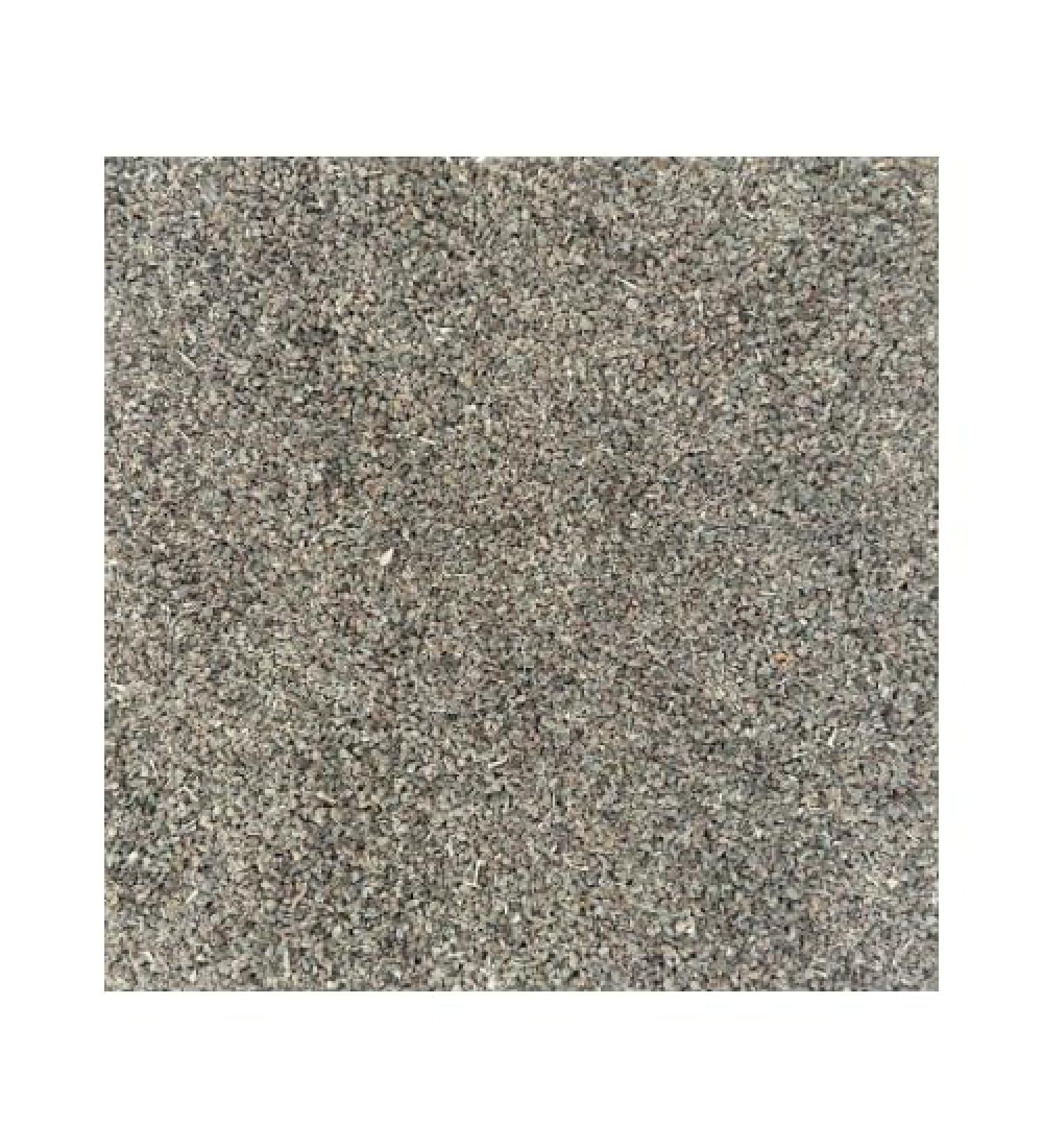 Celery Seeds (1 LB) - Buy Online on GoSupps.com